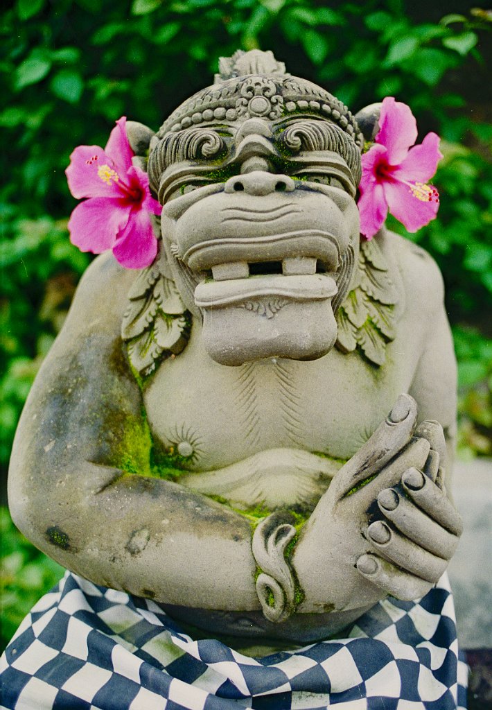 Bali10