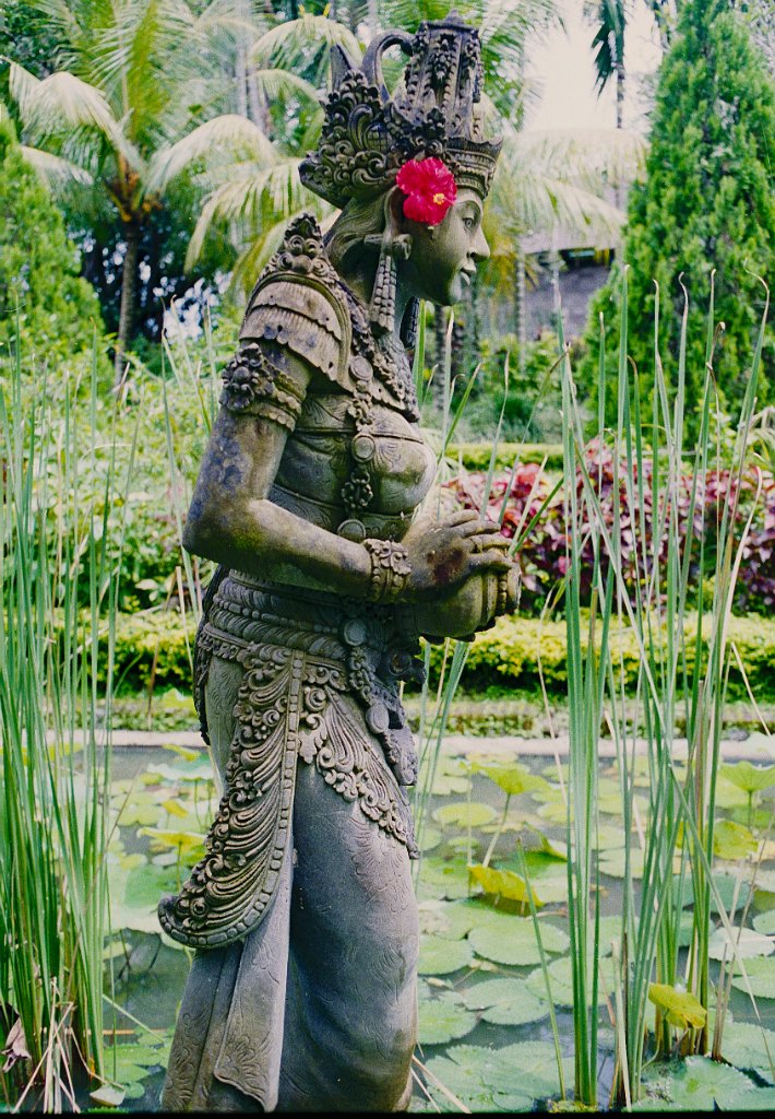 Bali11