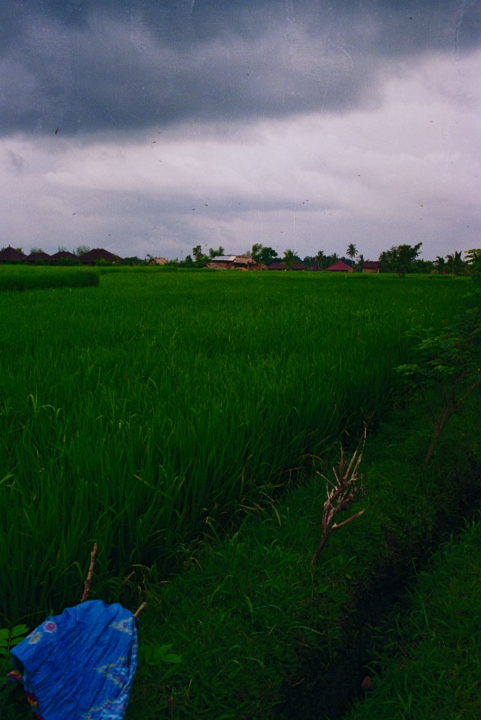 Bali2