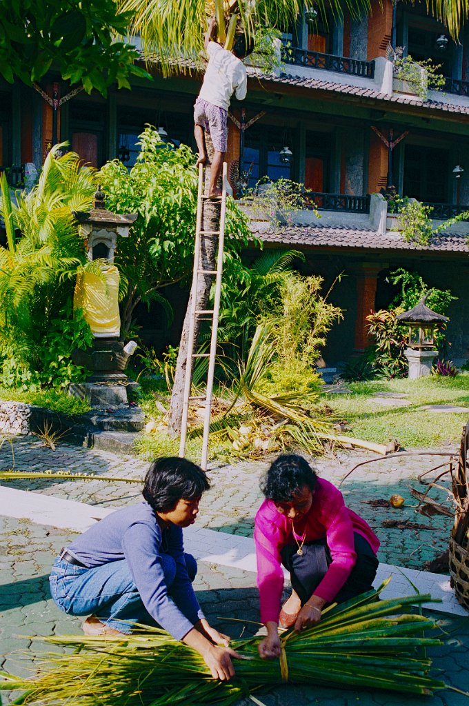 Bali3