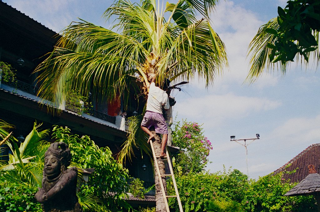 Bali5