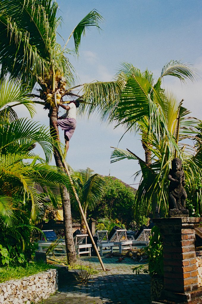 Bali6