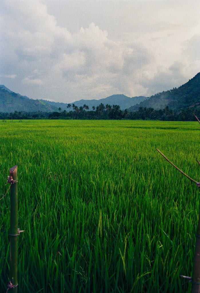 Lombok15