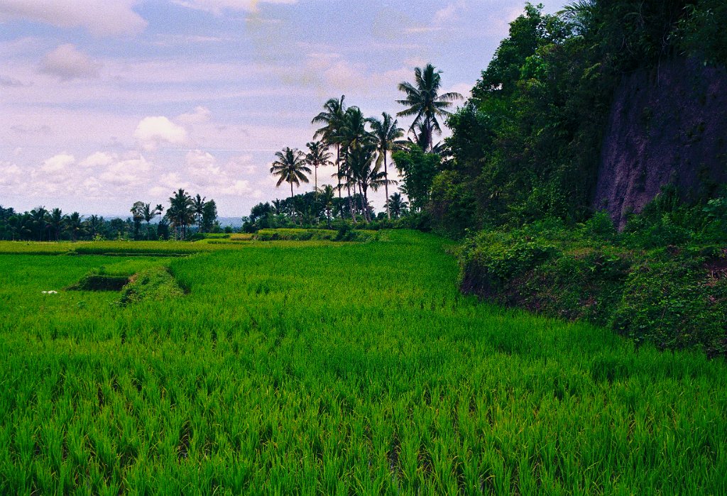 Lombok16