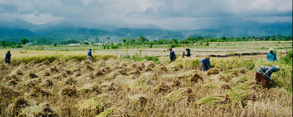 Lombok21