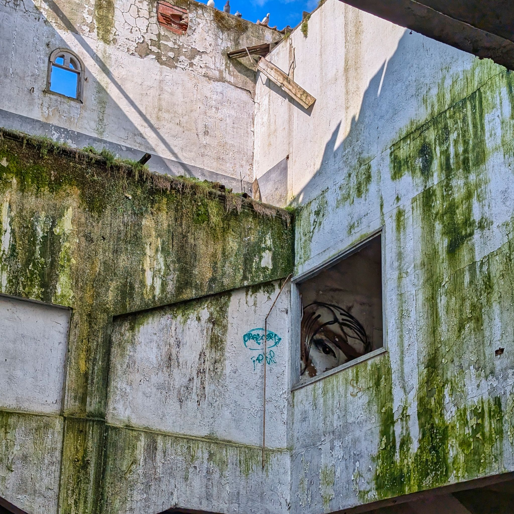 PXL 20250316 110353497