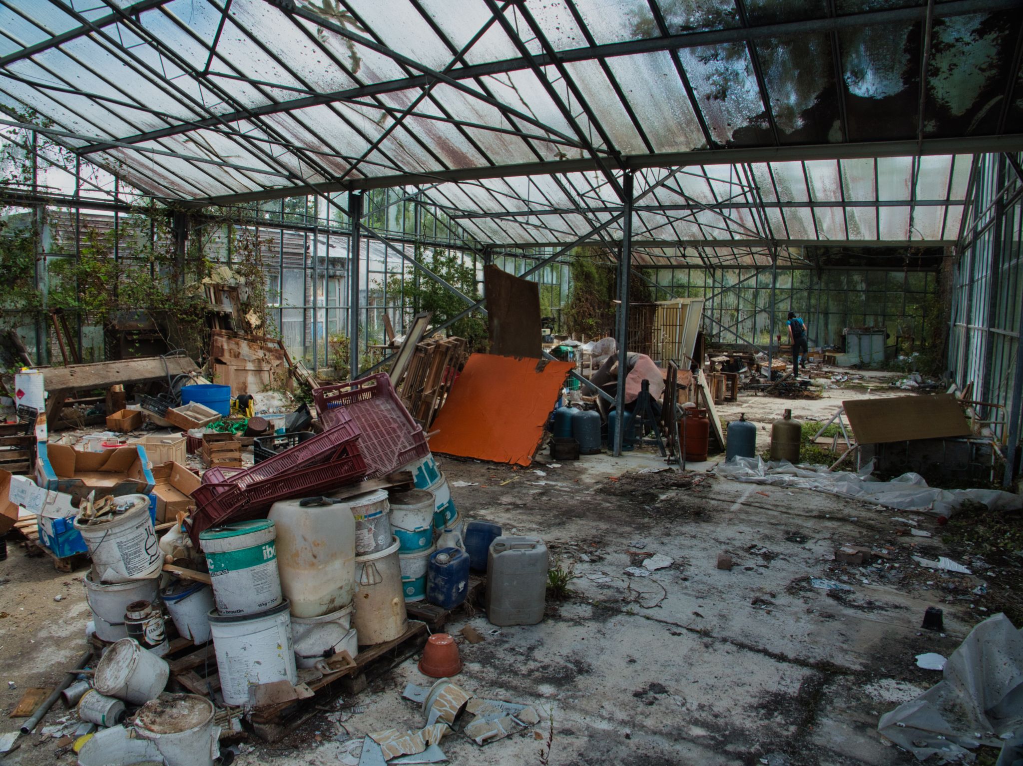 Les serres du bouquiniste