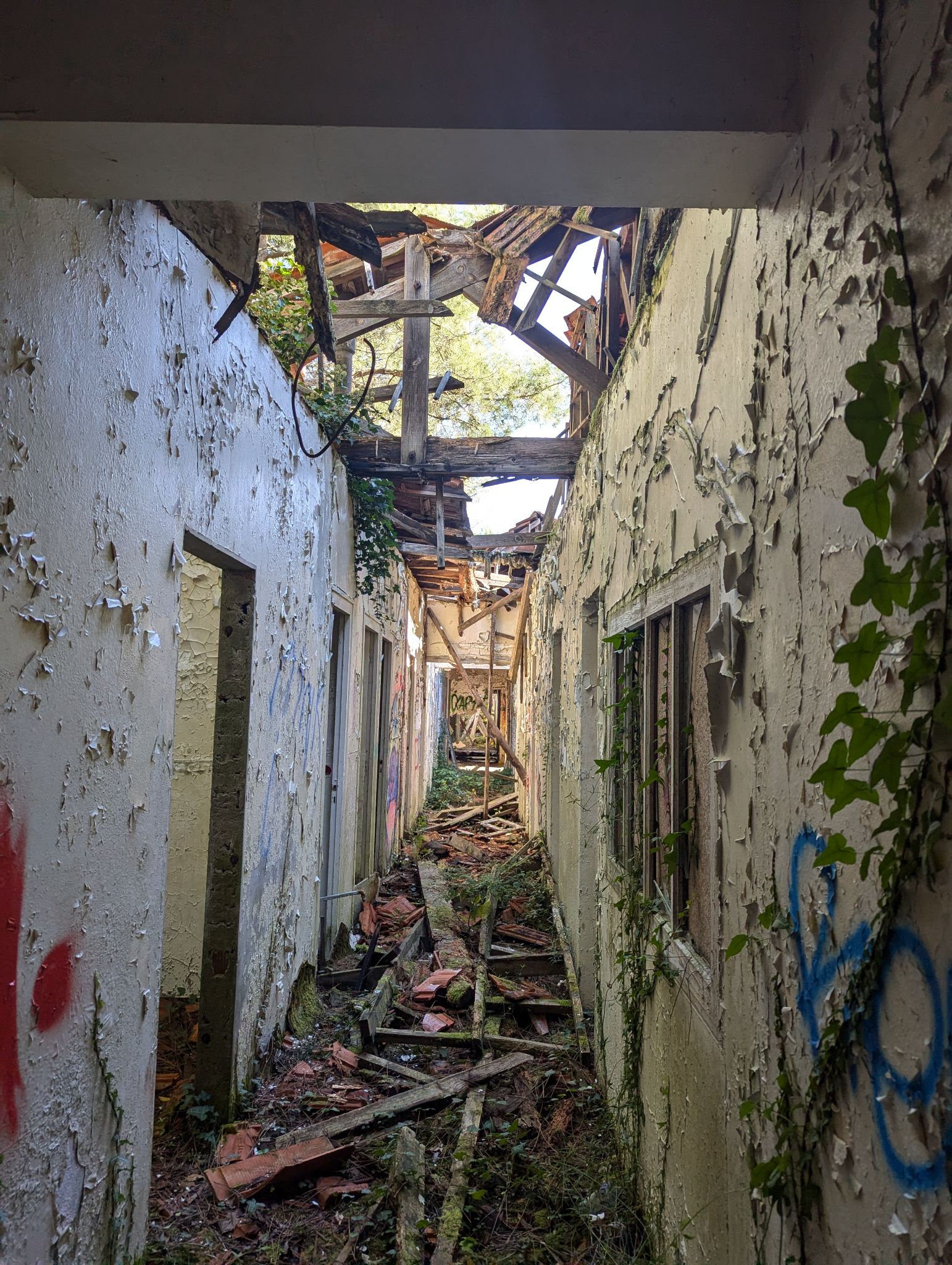 PXL 20241013 120725179.MP