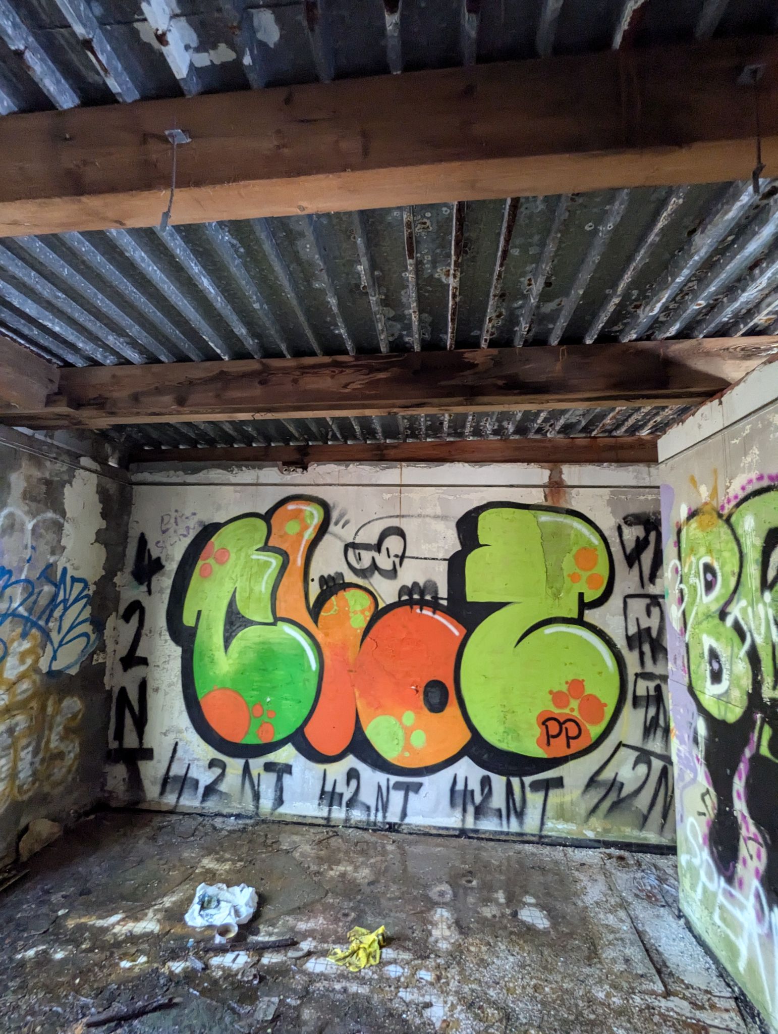 PXL 20241013 121343109