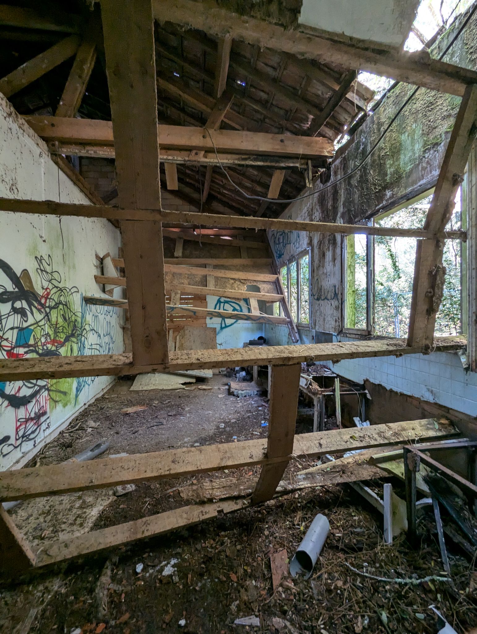 PXL 20241013 122156646.MP