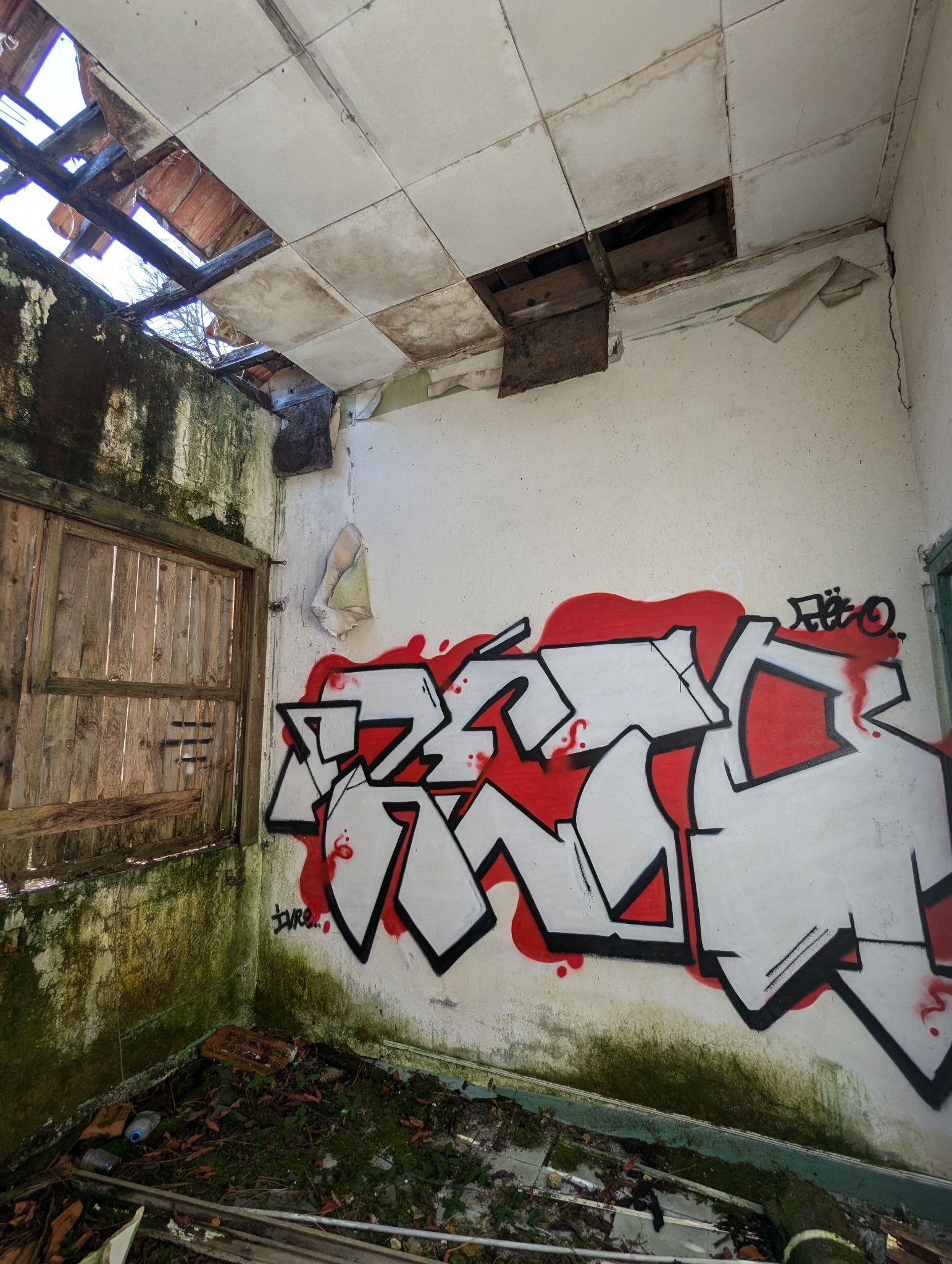 PXL 20241013 122236236