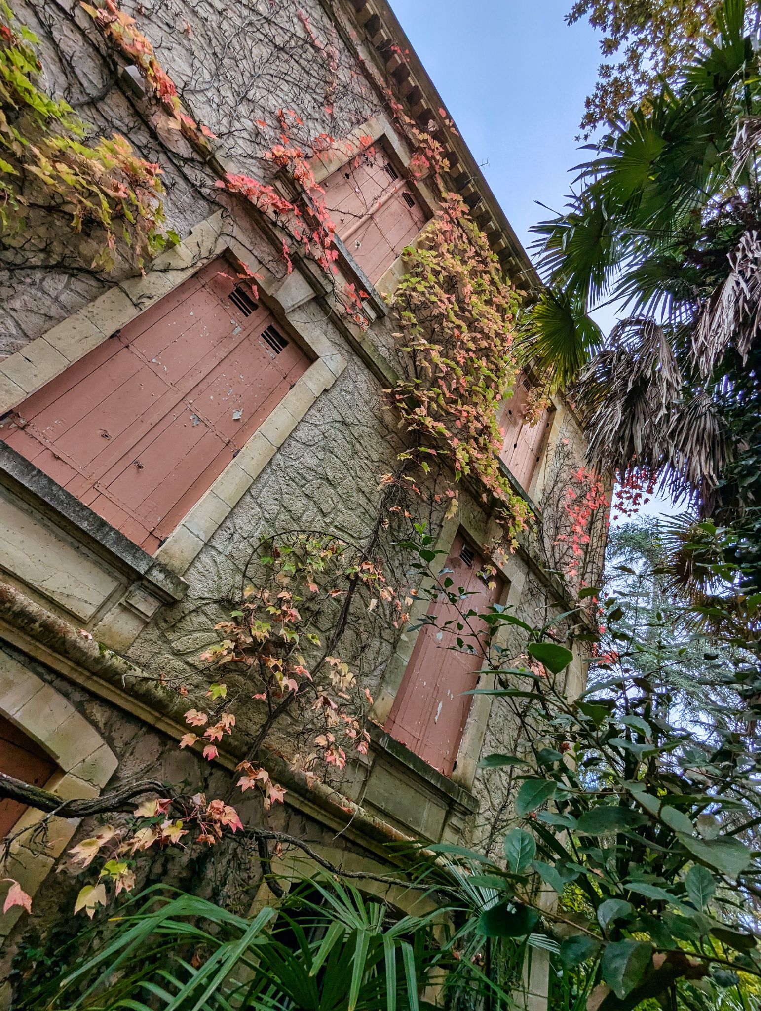 PXL 20241020 122615322