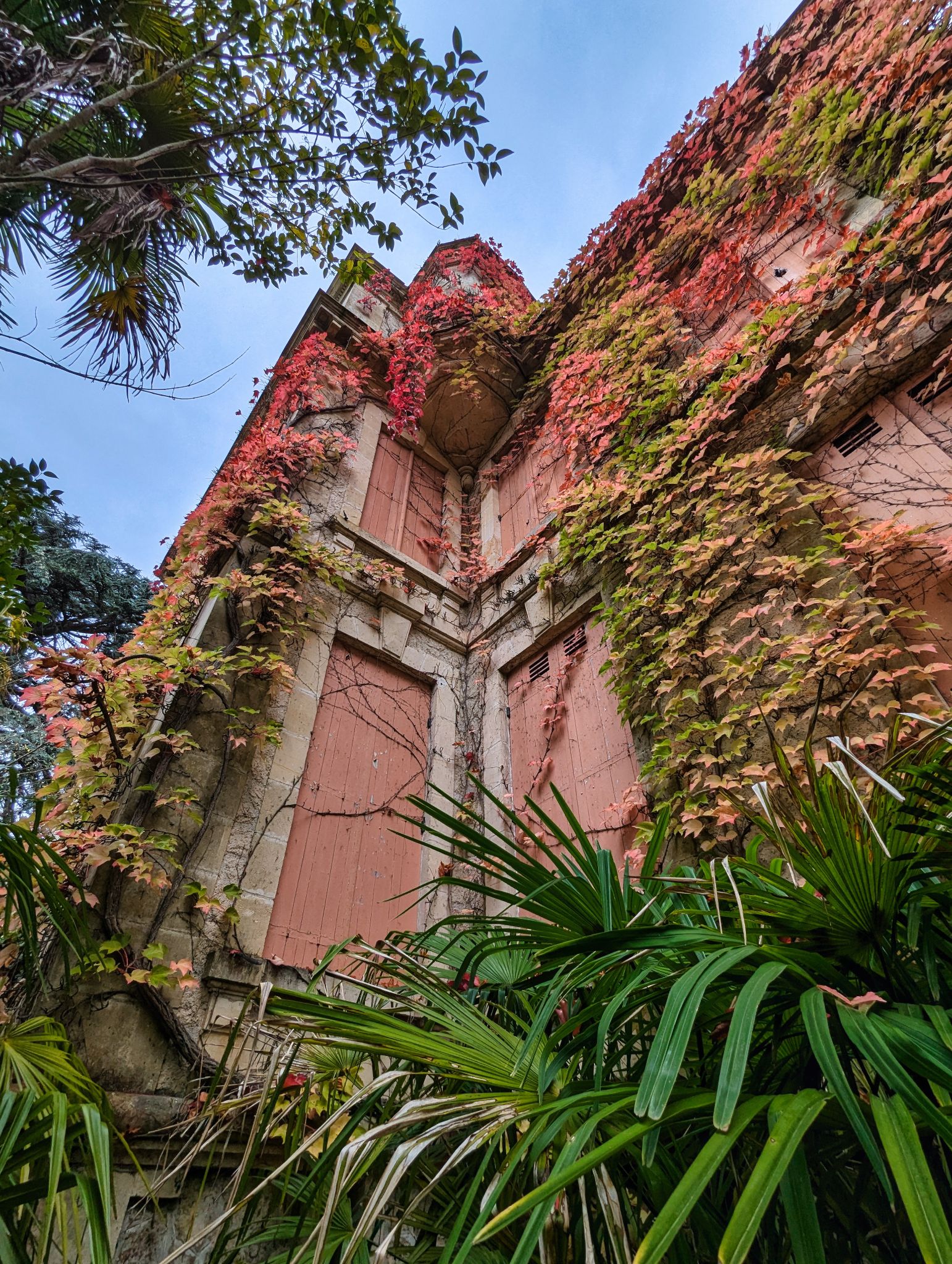 PXL 20241020 122909777