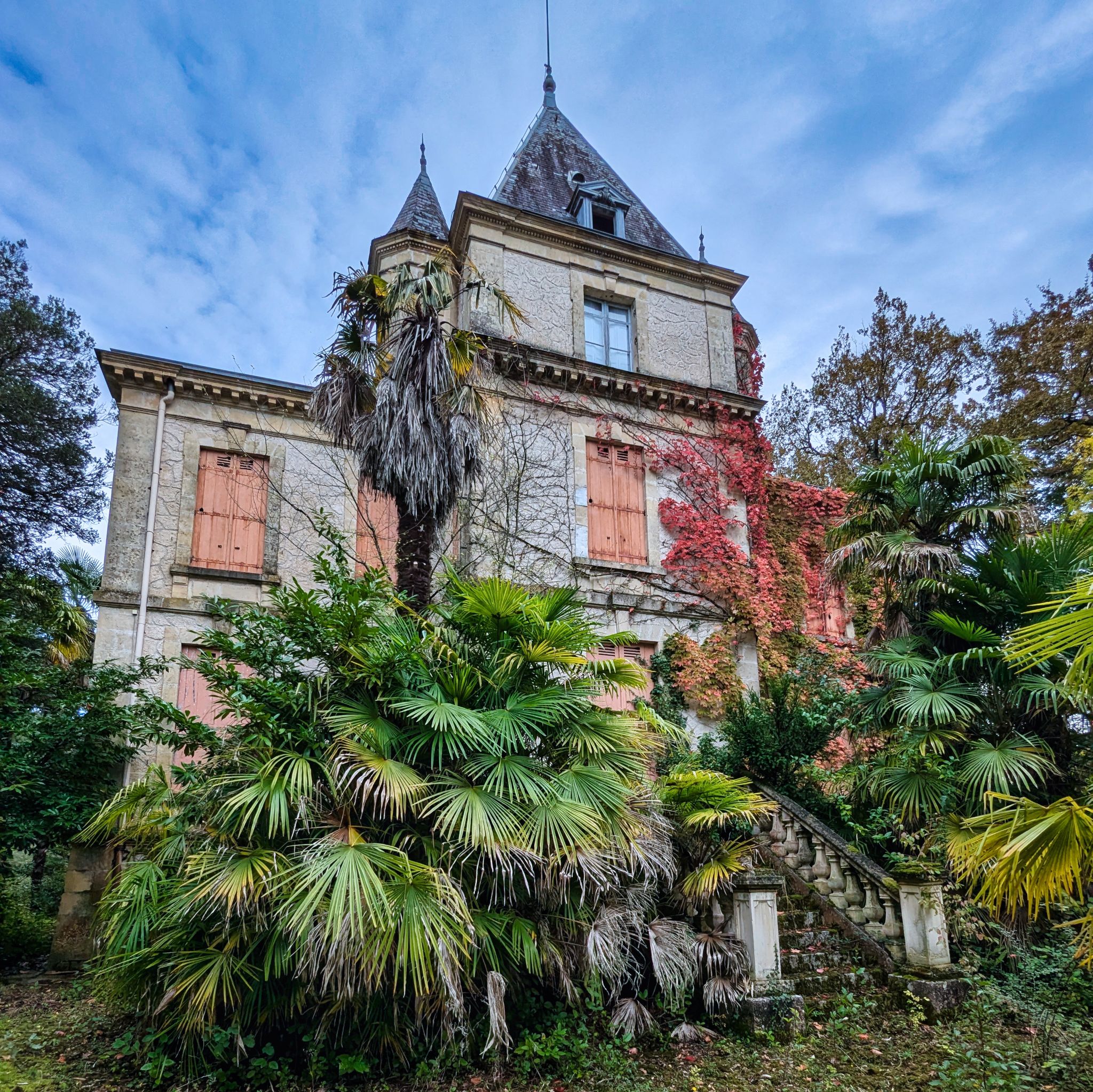 PXL 20241020 123022021