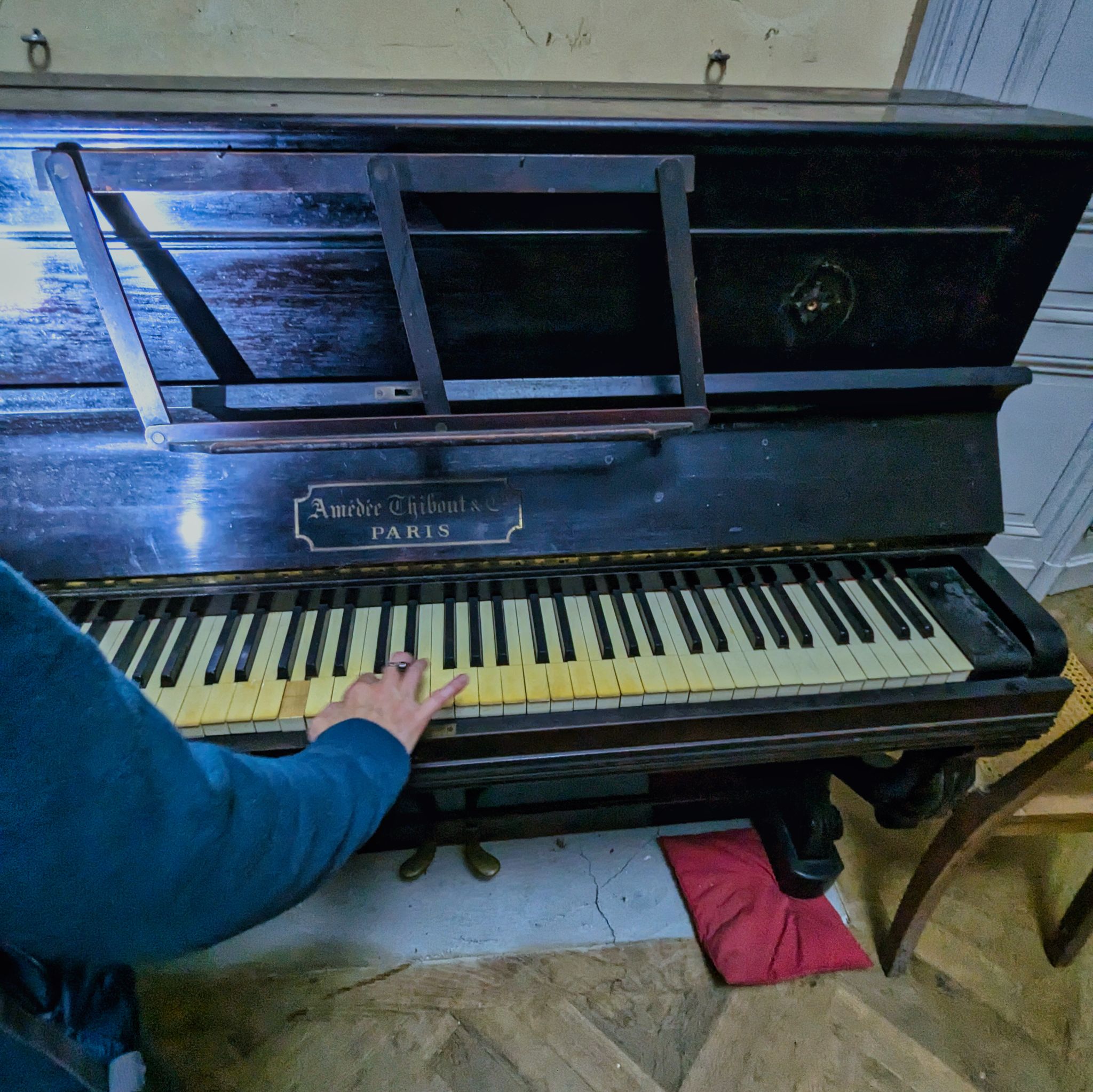 PXL 20241020 123448282.MP