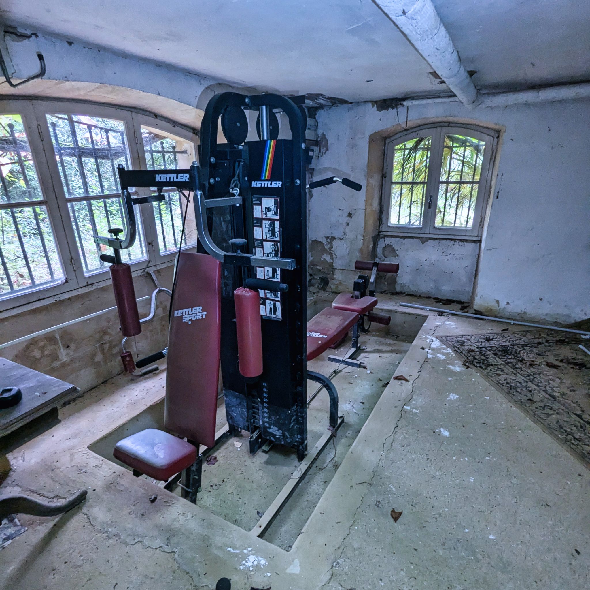 PXL 20241020 124031125