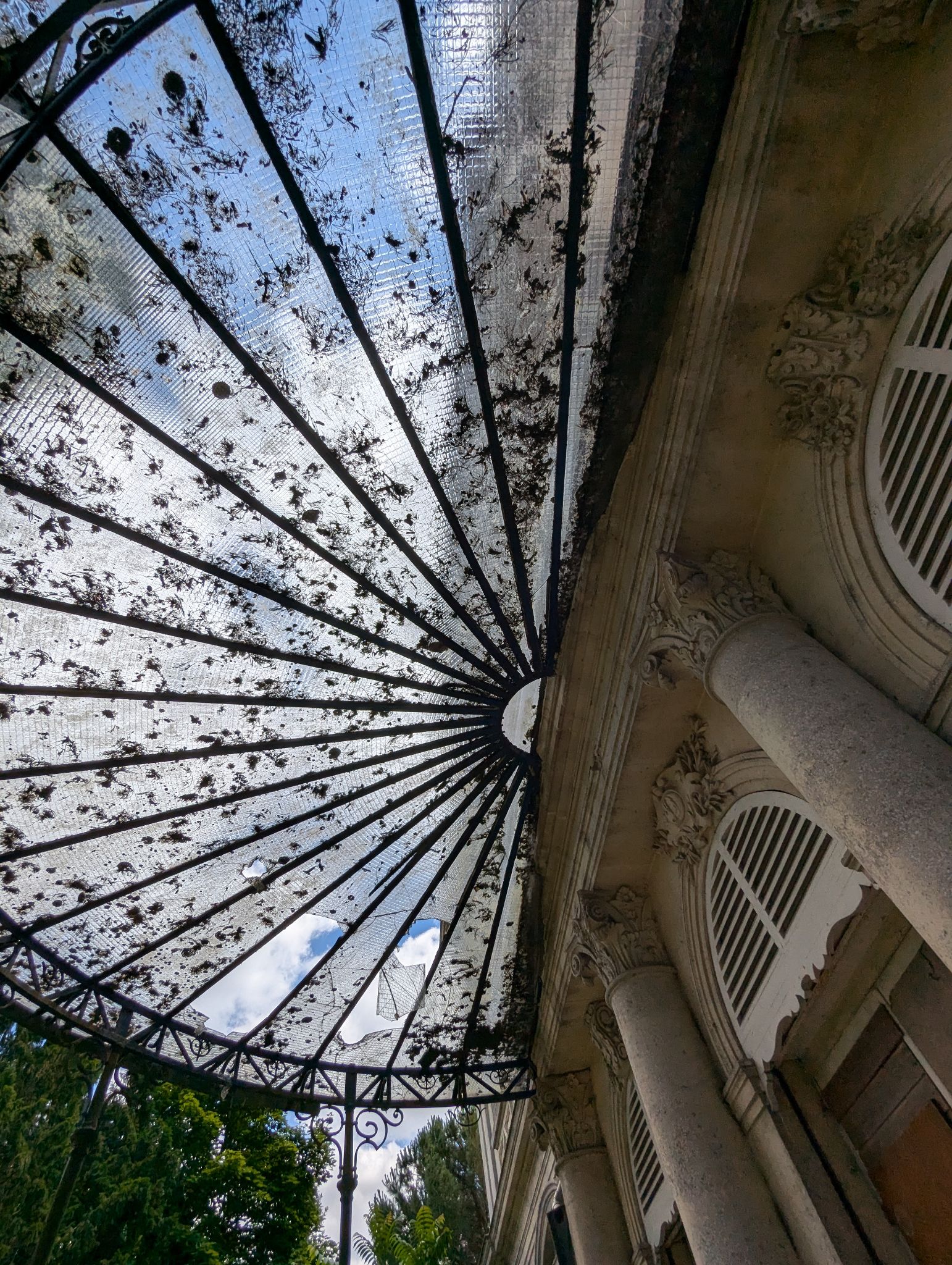 PXL 20240630 123951933