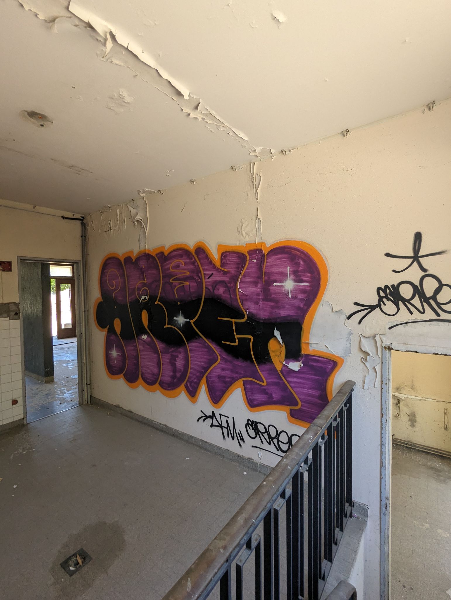 PXL 20240510 120312324