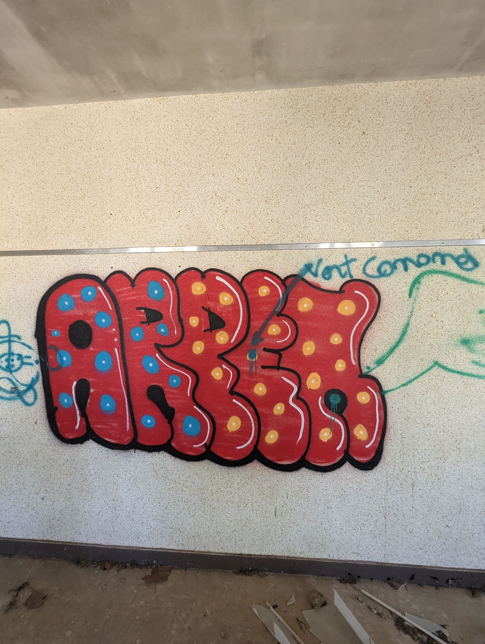 PXL 20240510 120646182