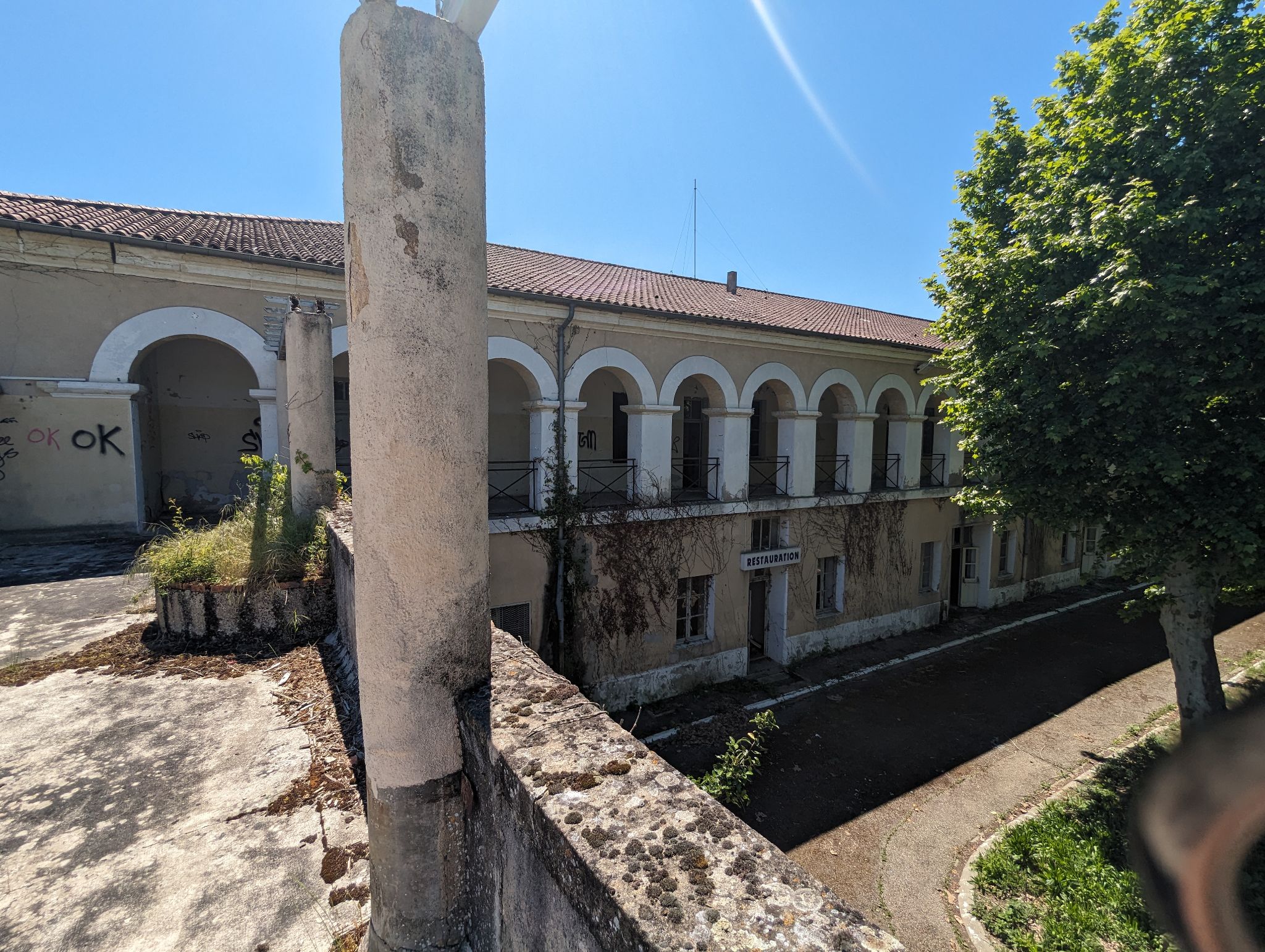 PXL 20240510 124641424