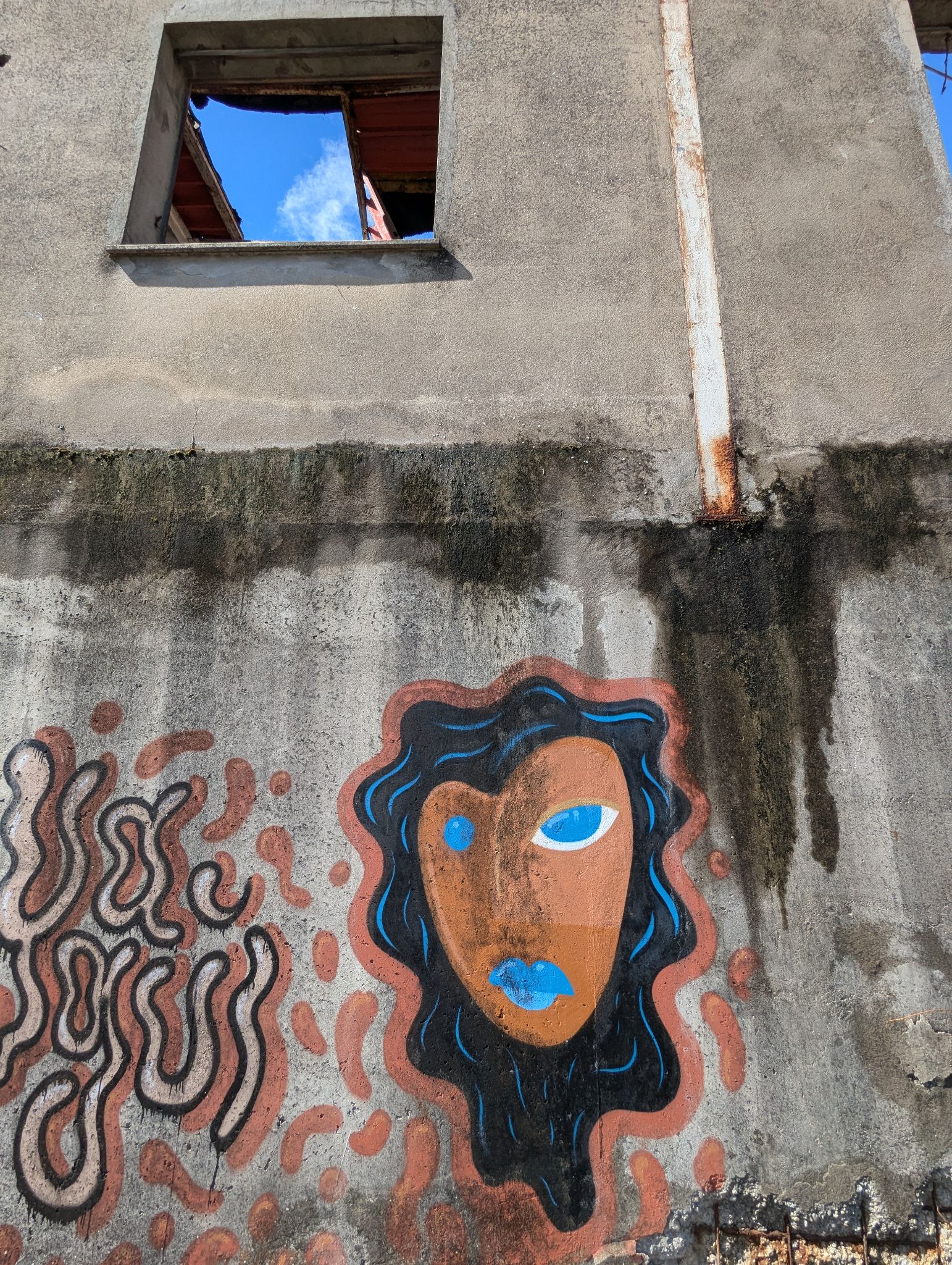 PXL 20240908 132019787