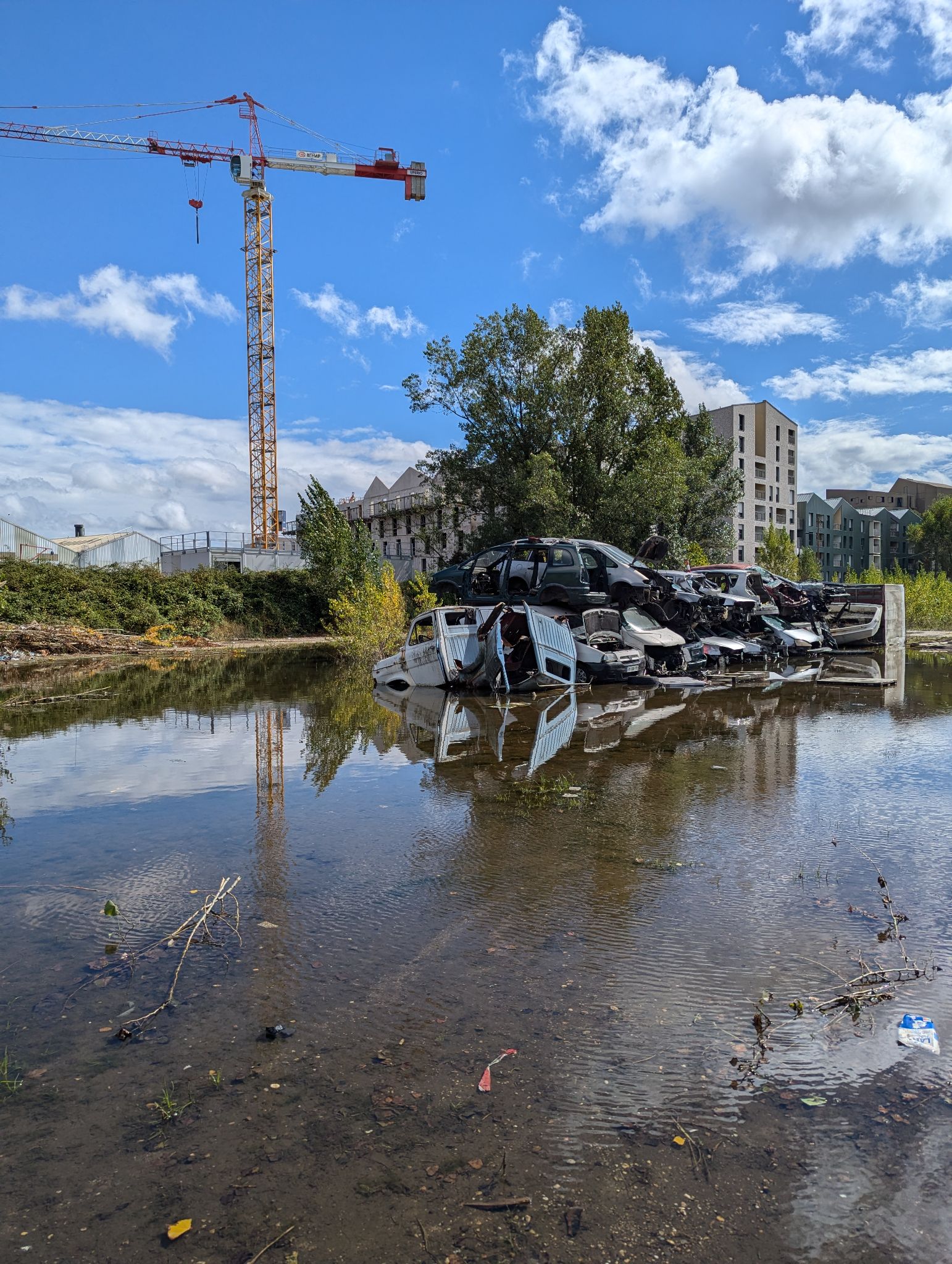 PXL 20240908 132356029.MP