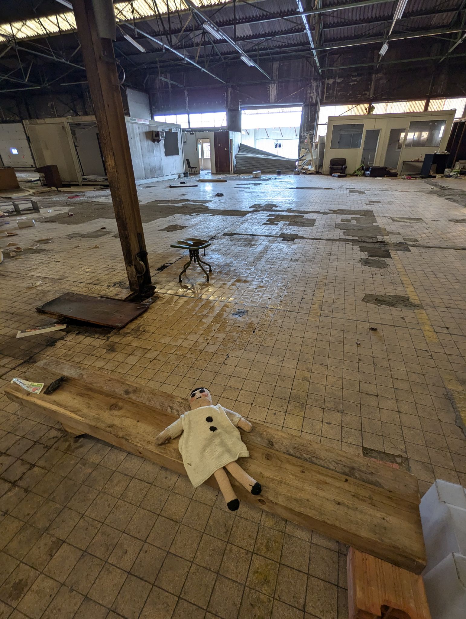 PXL 20240908 133239761