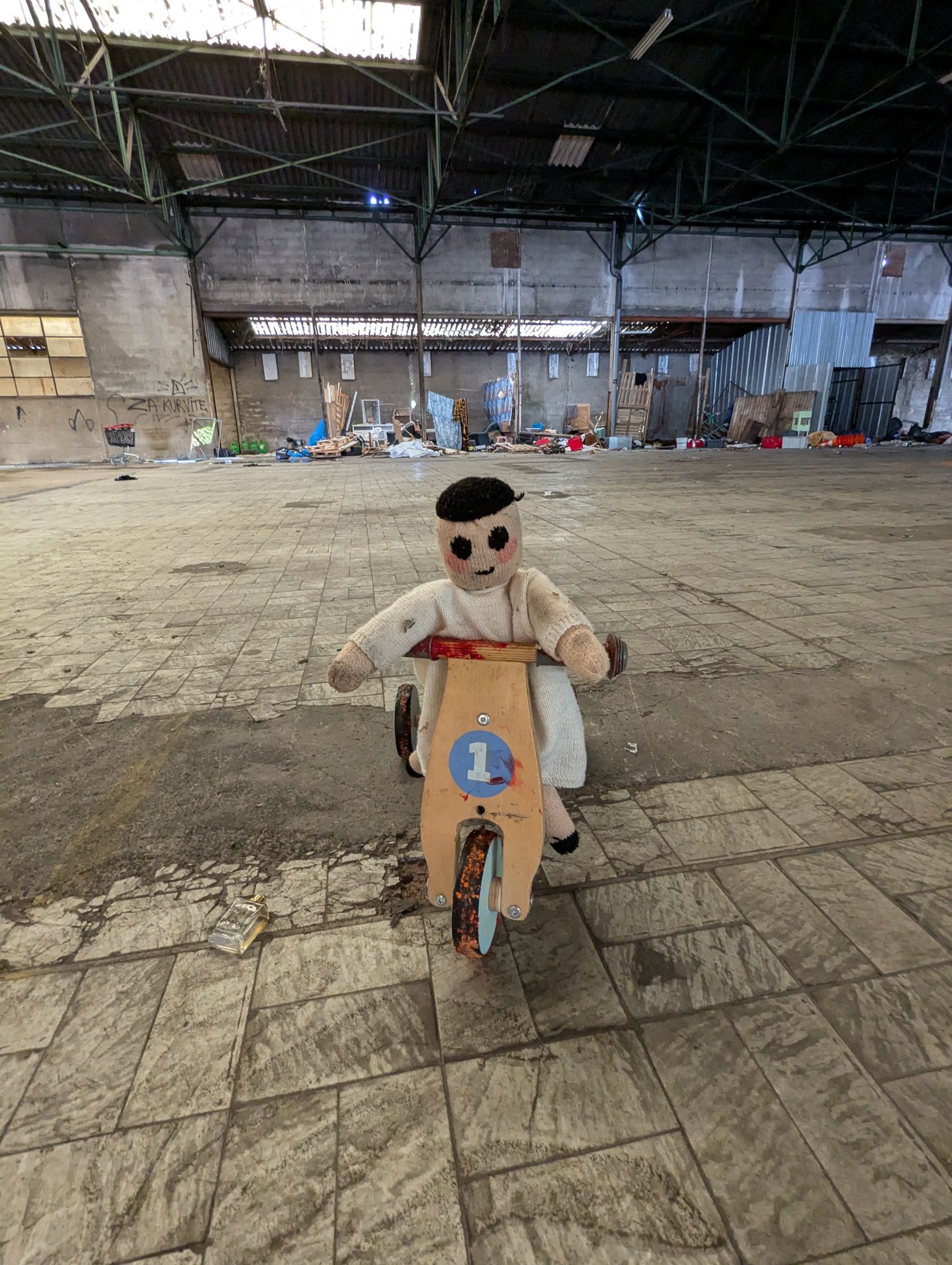 PXL 20240908 133654606