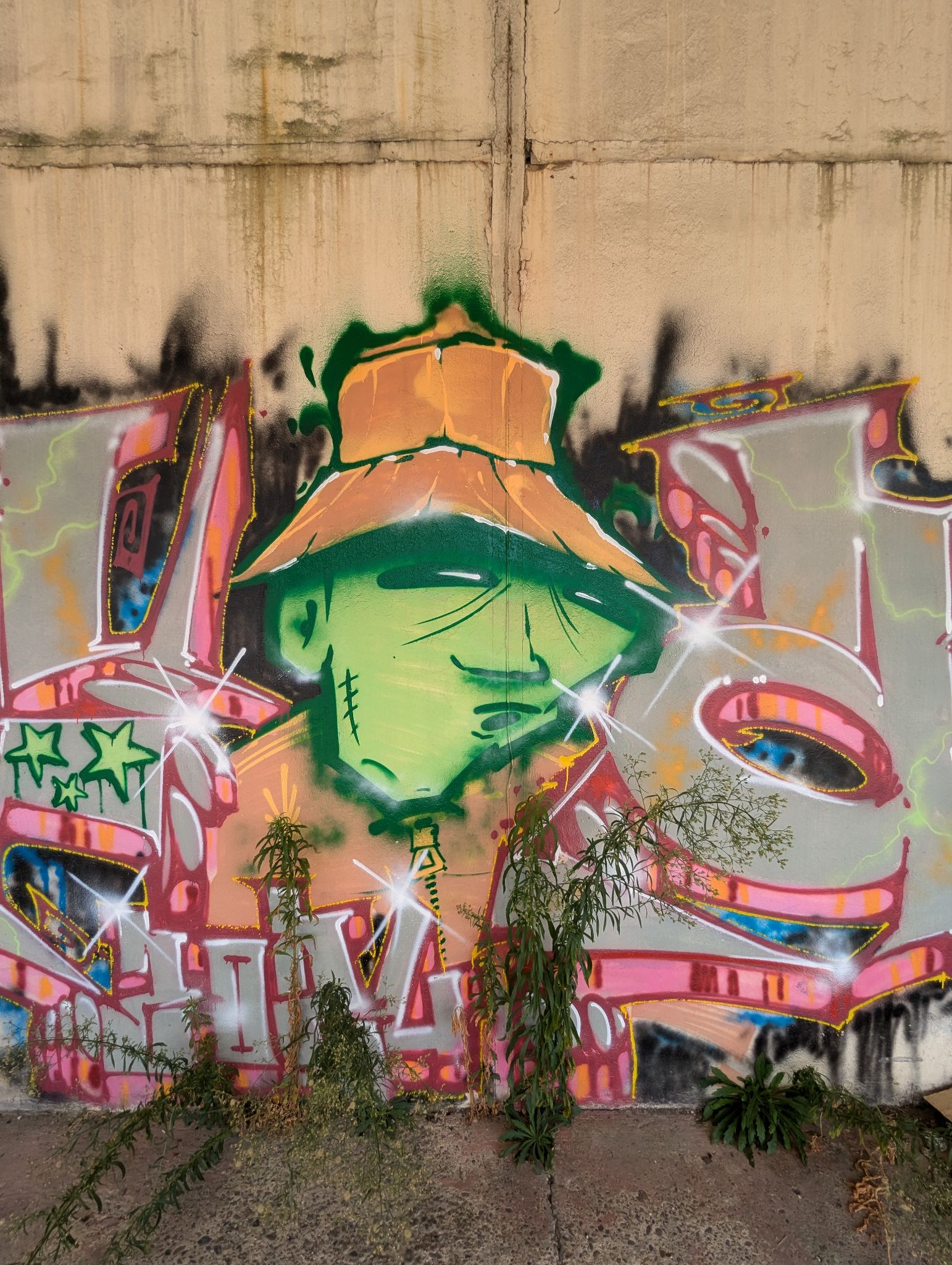 PXL 20240908 134024614