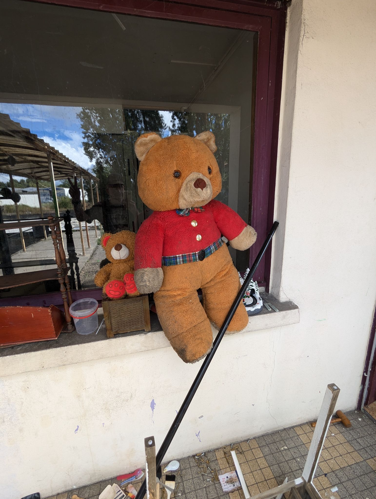 PXL 20240908 134732647