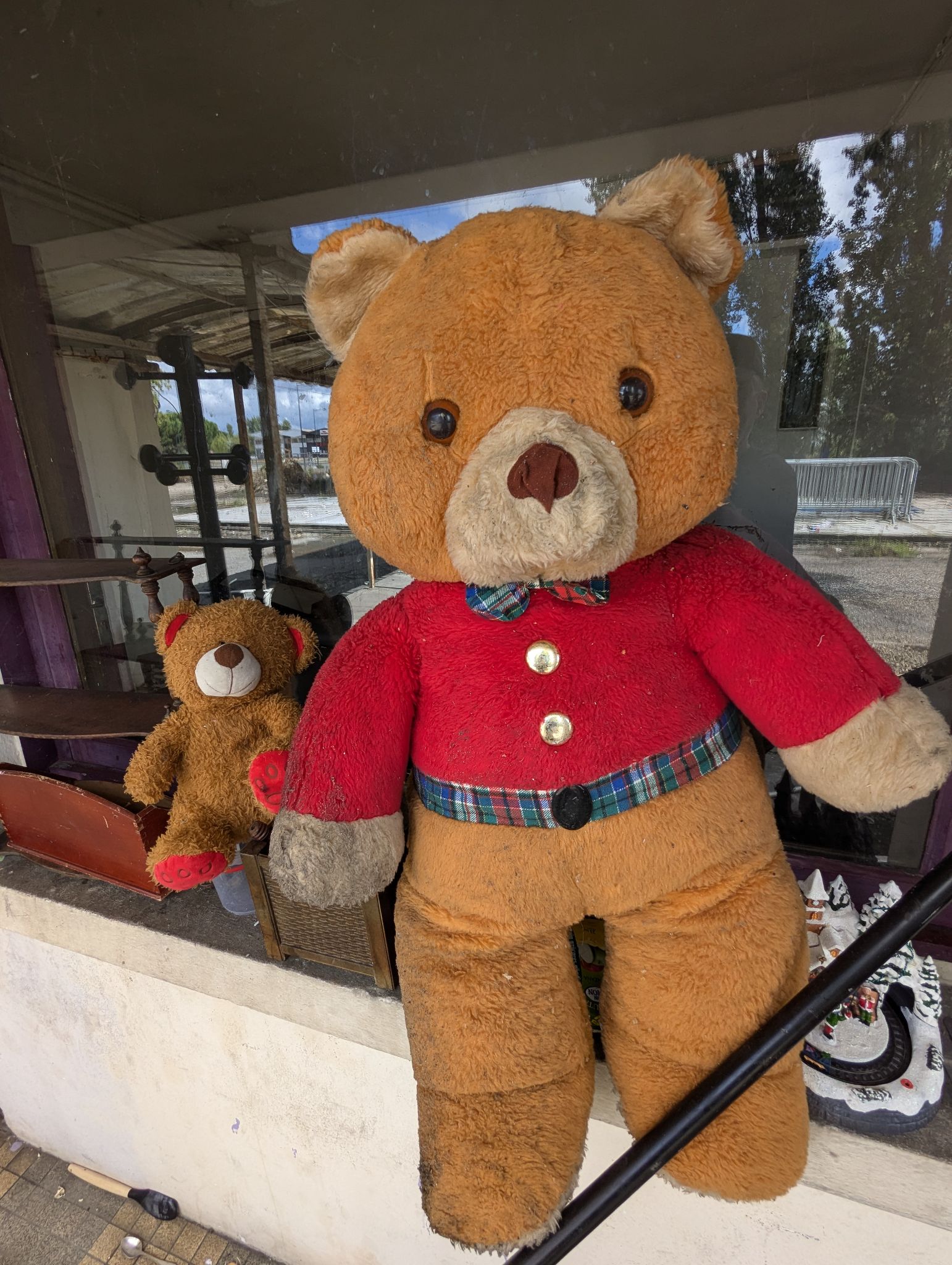 PXL 20240908 134744351