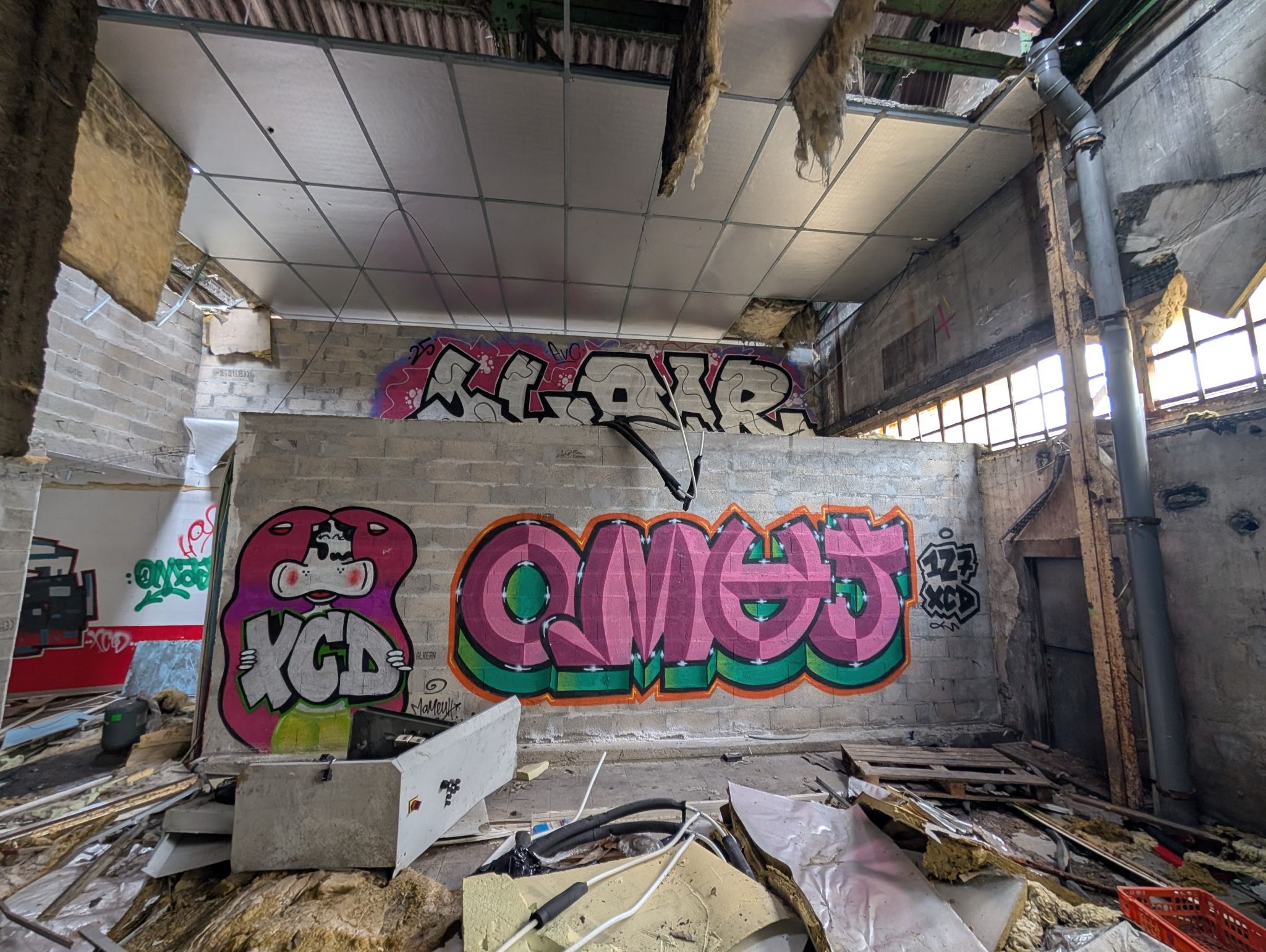 PXL 20250316 140943751