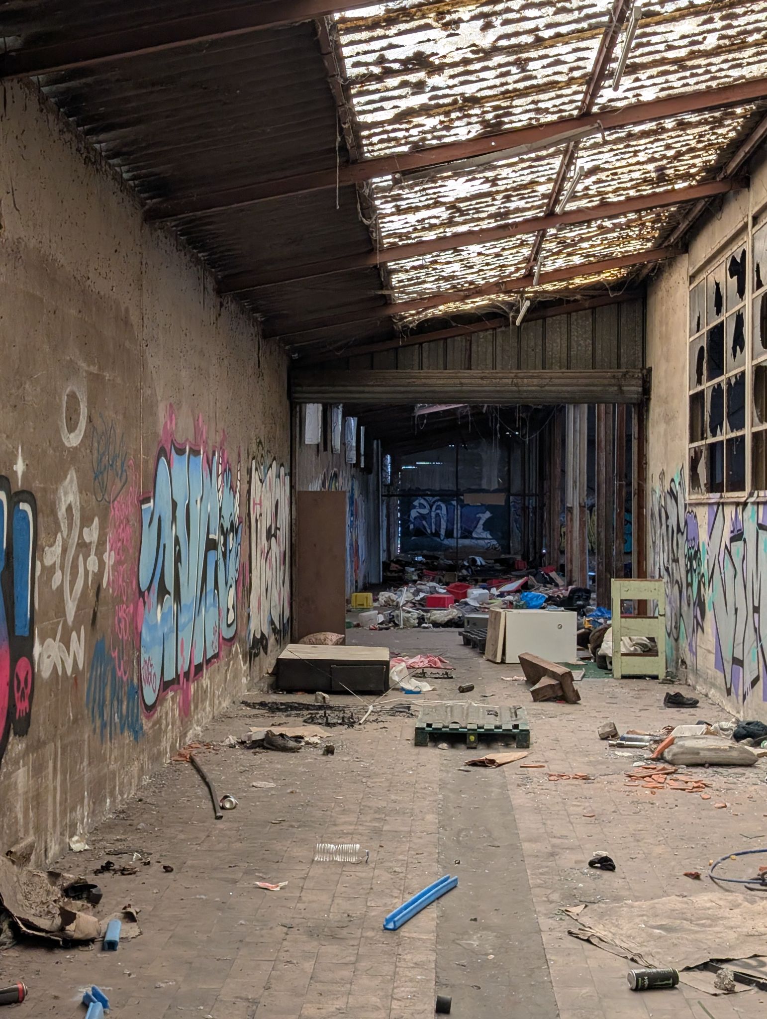 PXL 20250821 123707986