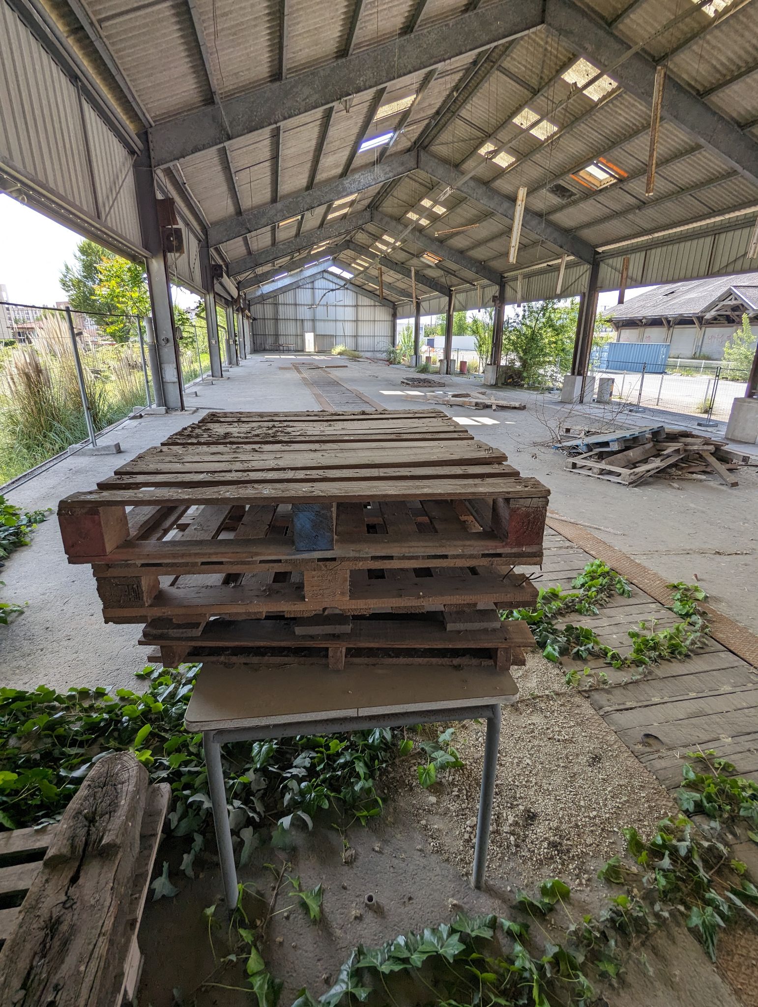 PXL 20240508 122455190