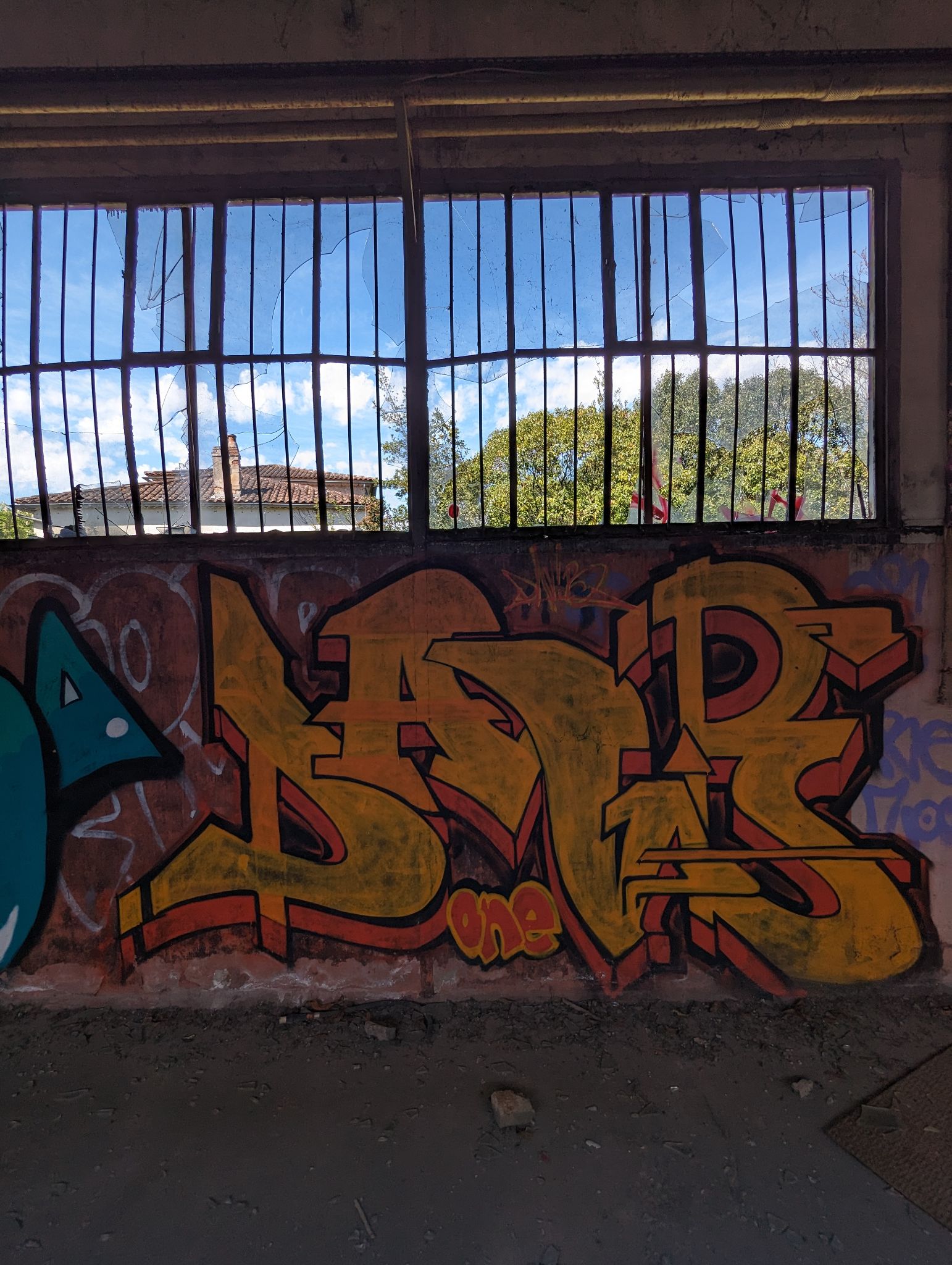 PXL 20240408 110644353