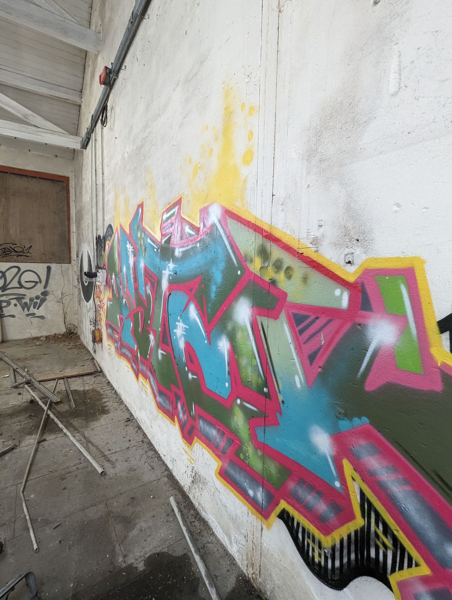 PXL 20240408 110841923