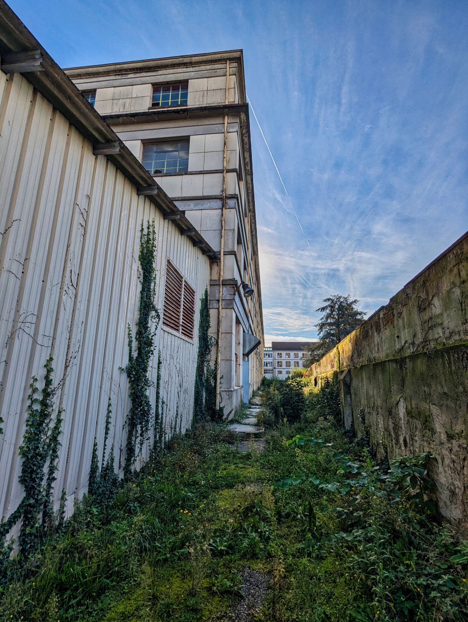 PXL 20241020 083624964