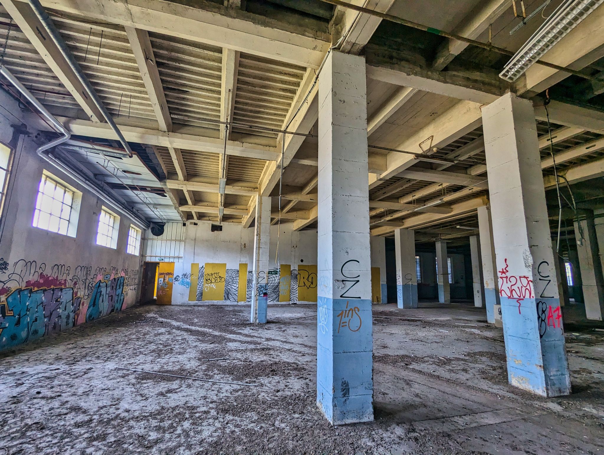 PXL 20241020 083759266