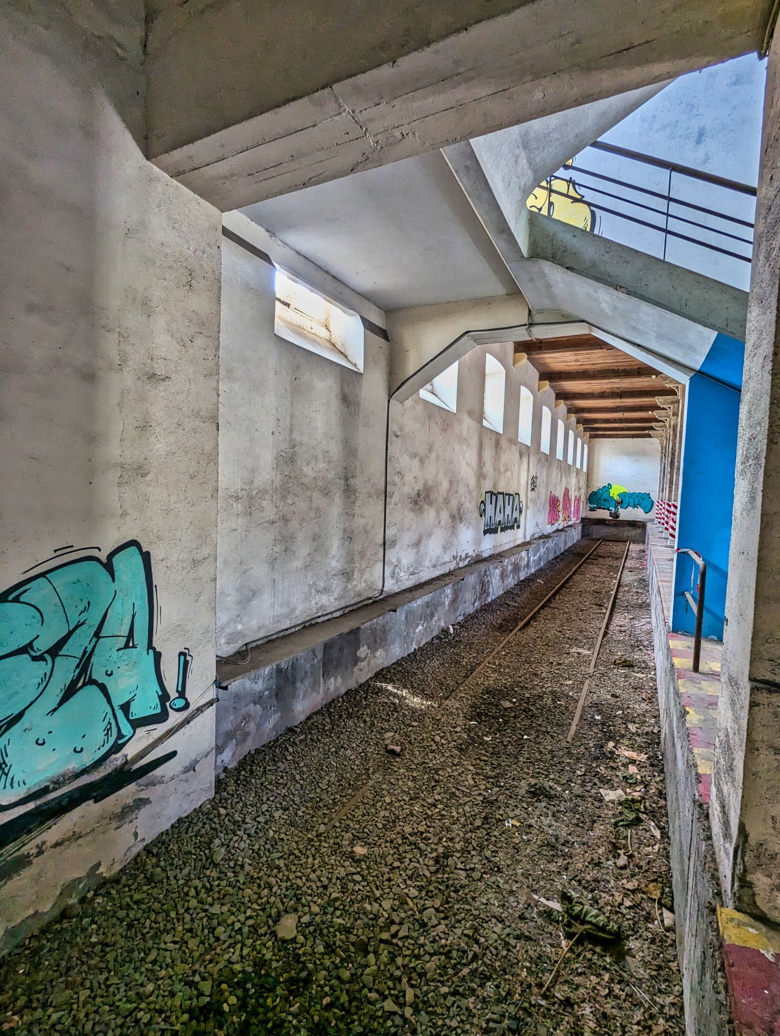 PXL 20241020 090054727