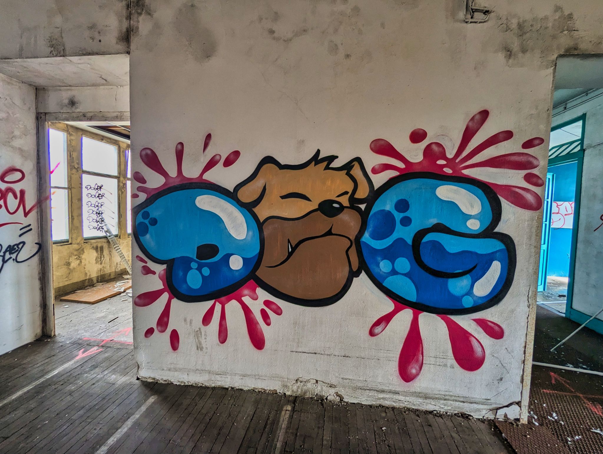 PXL 20241020 104718234