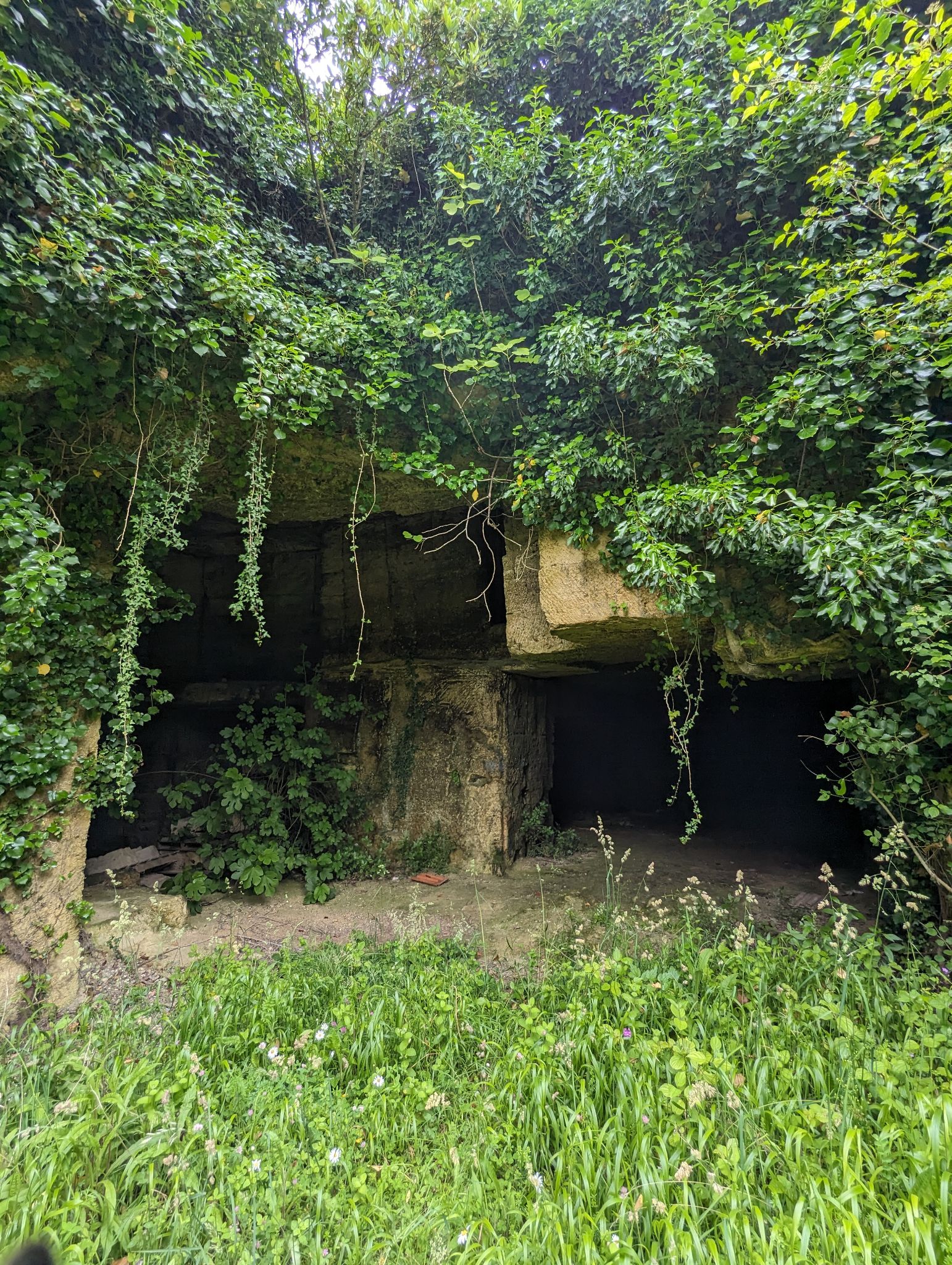 PXL 20240607 110257952