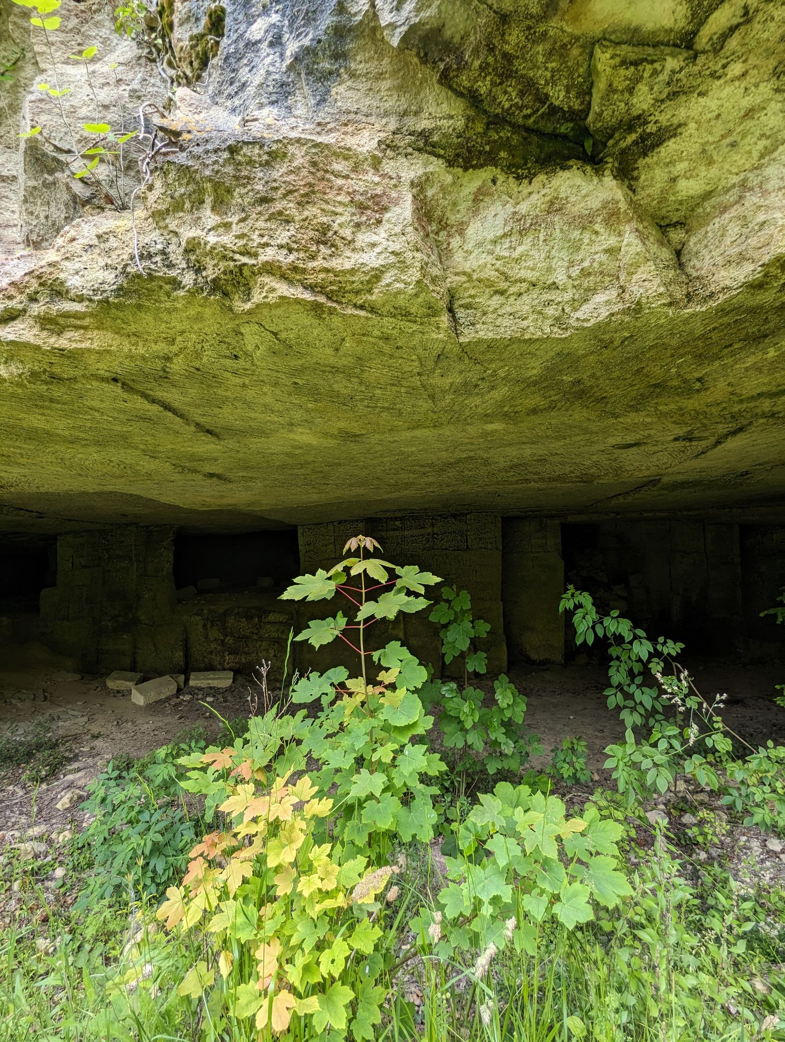 PXL 20240607 110323643