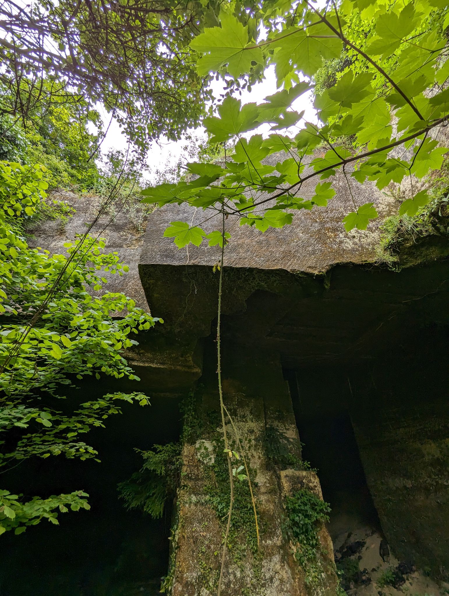 PXL 20240607 110426136