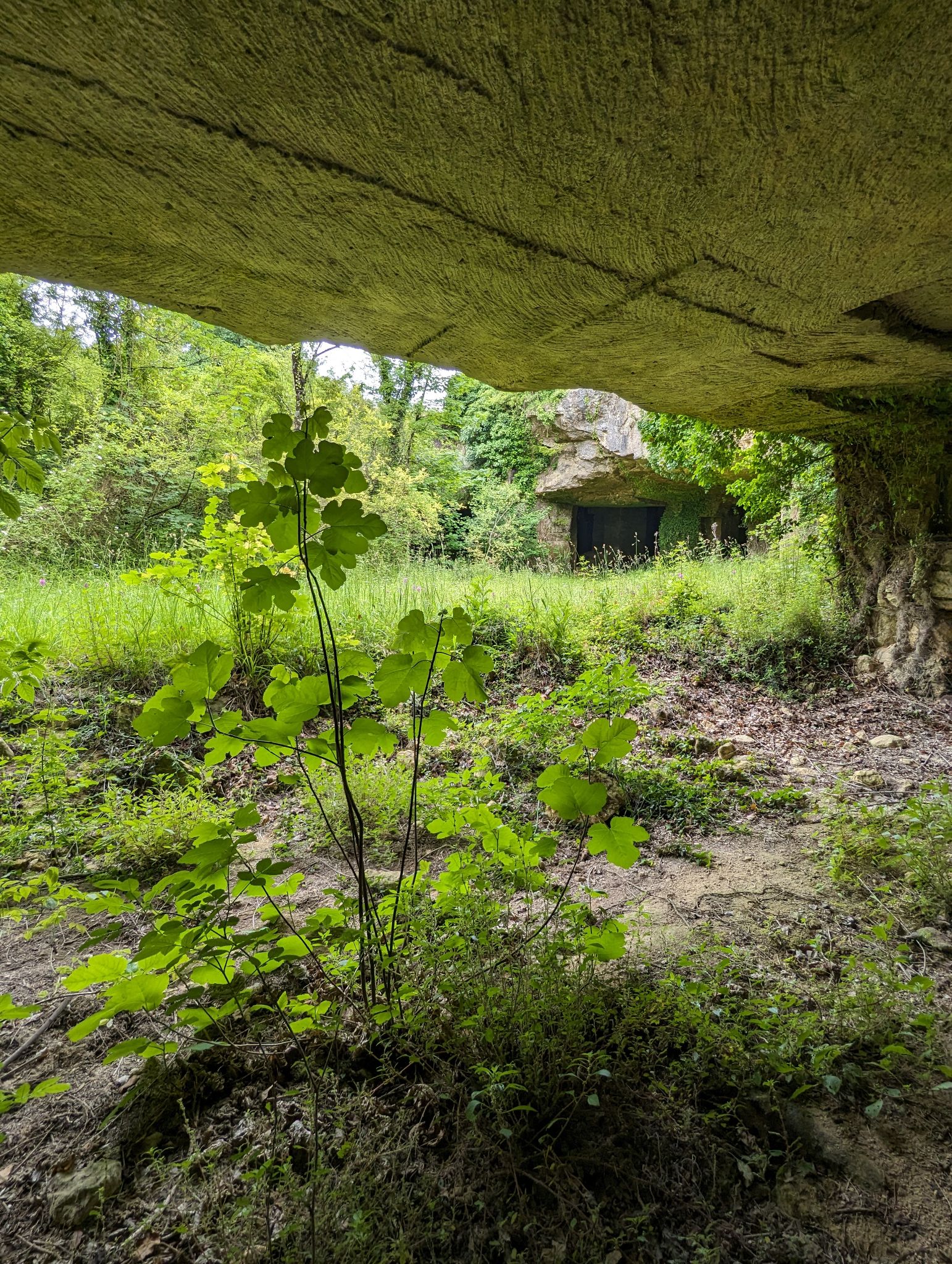 PXL 20240607 110938768