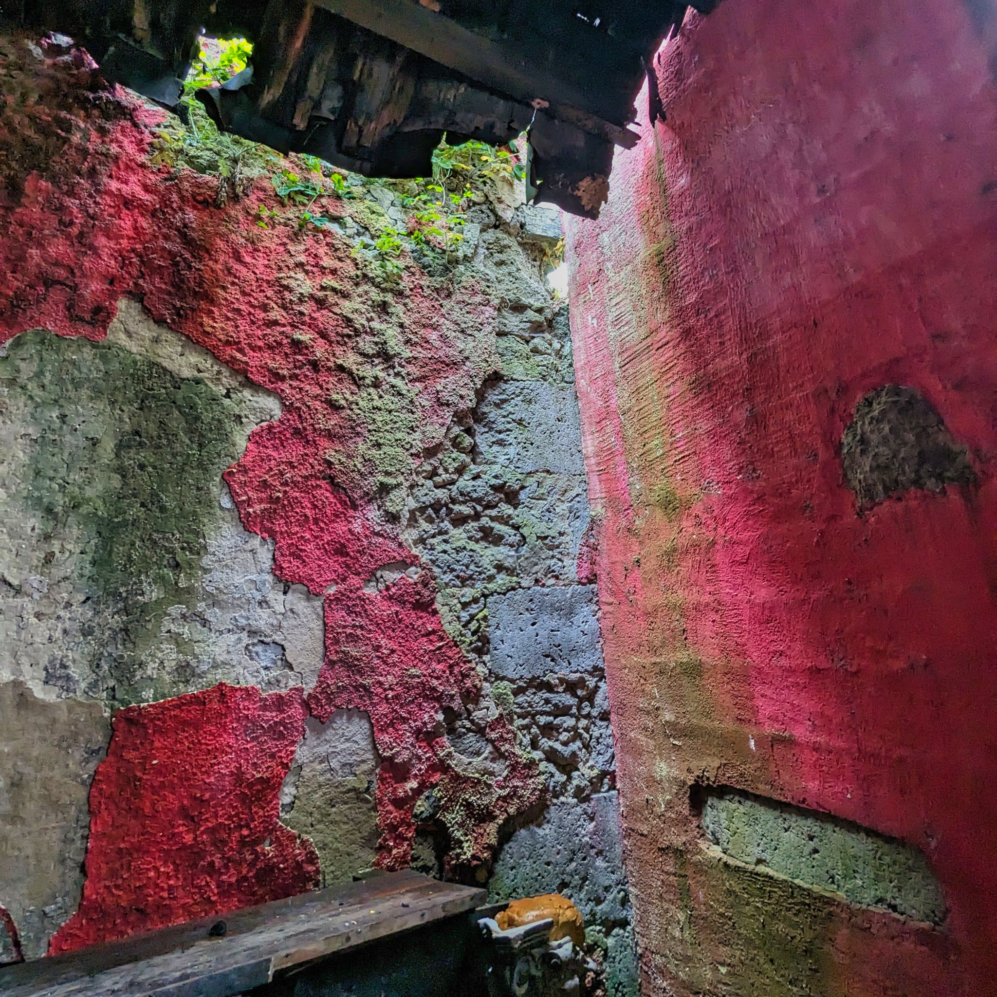 PXL 20240609 112922026.MP