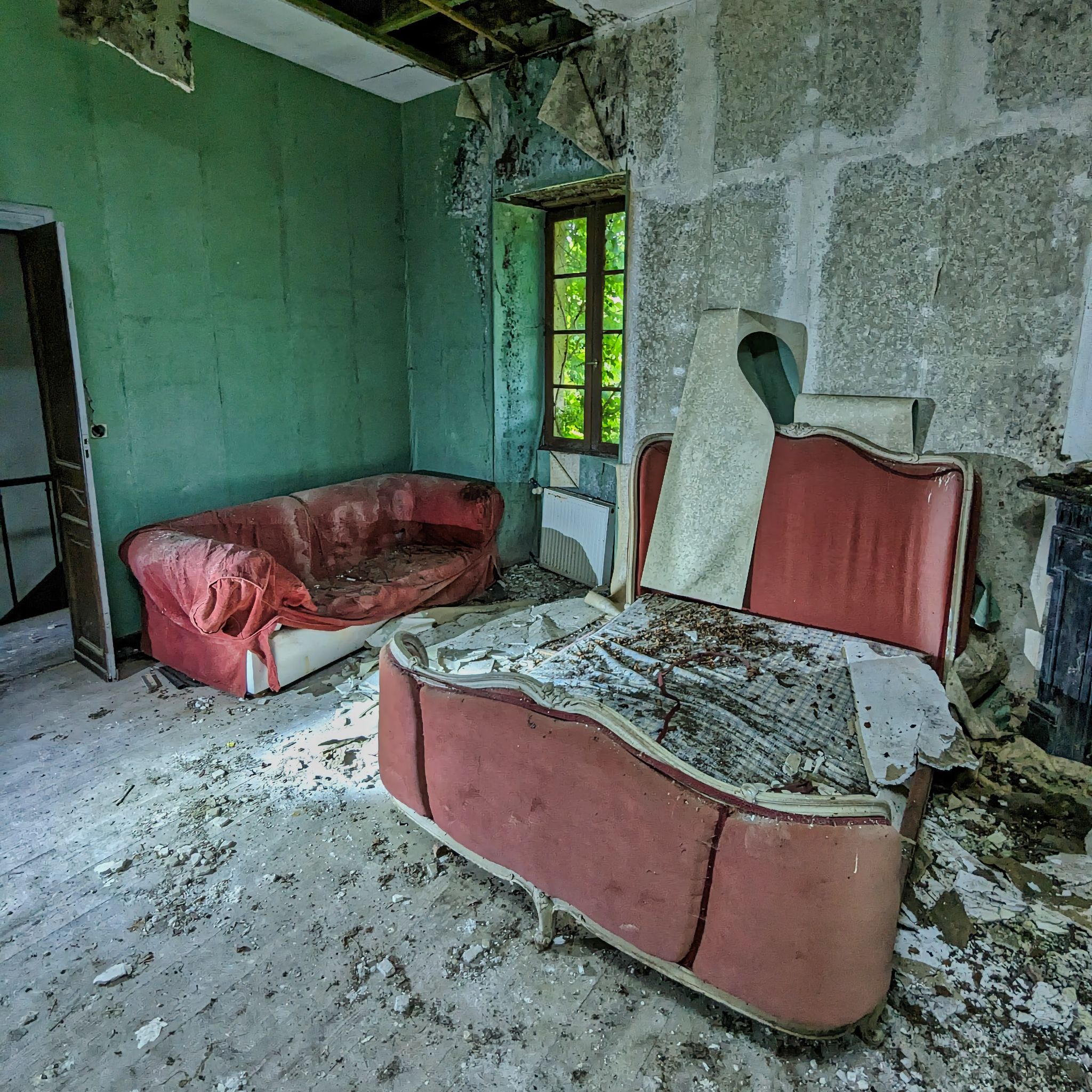 PXL 20240609 113029817