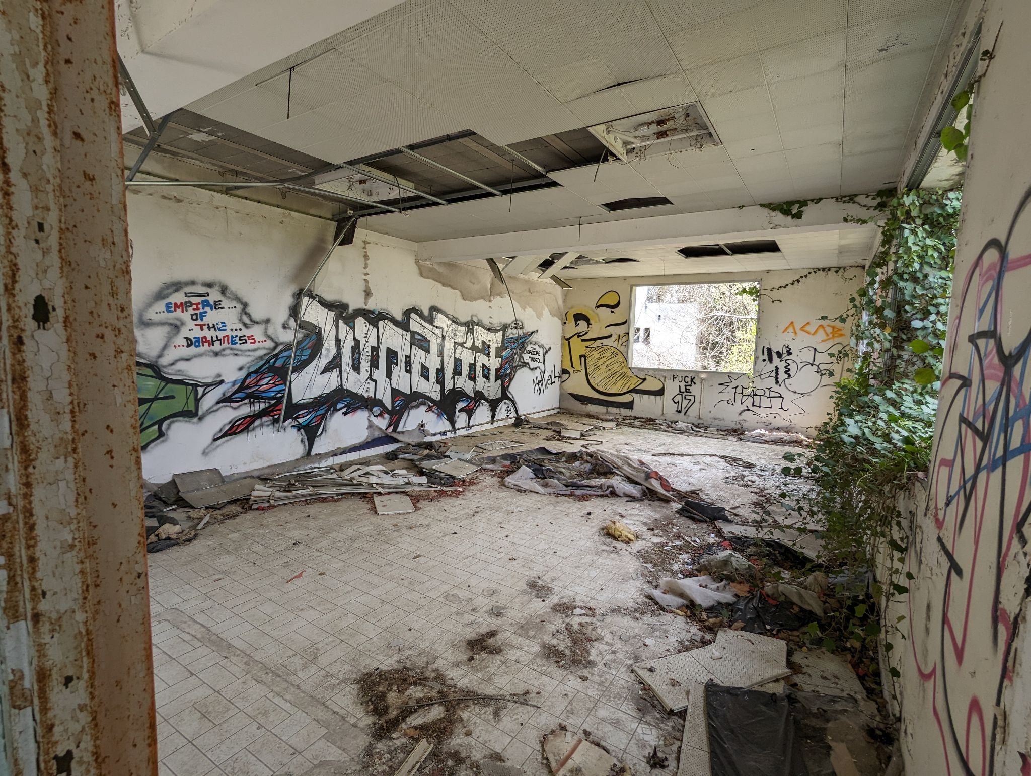 PXL 20240316 130424862