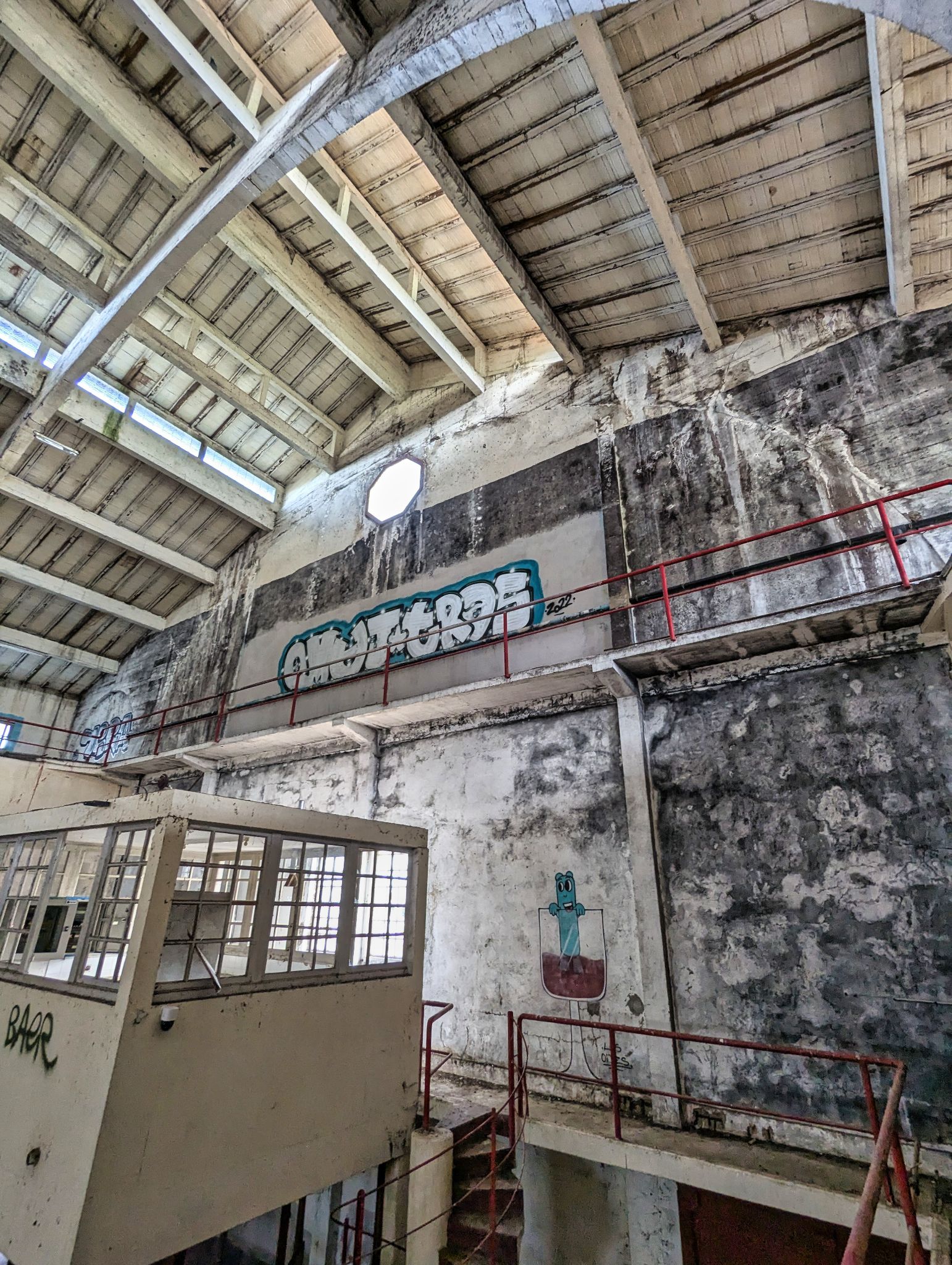 PXL 20241124 131630016