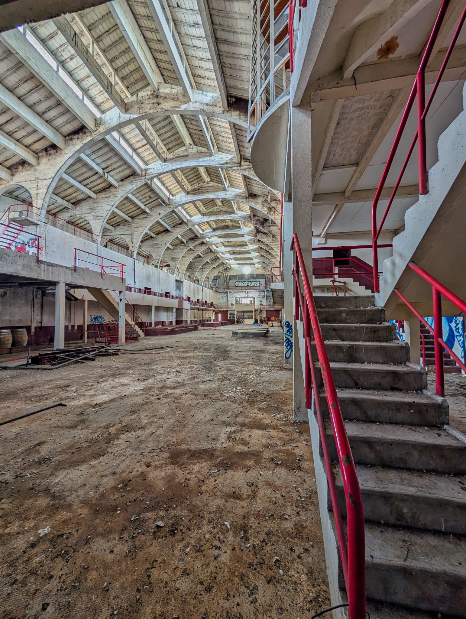 PXL 20250316 115308205