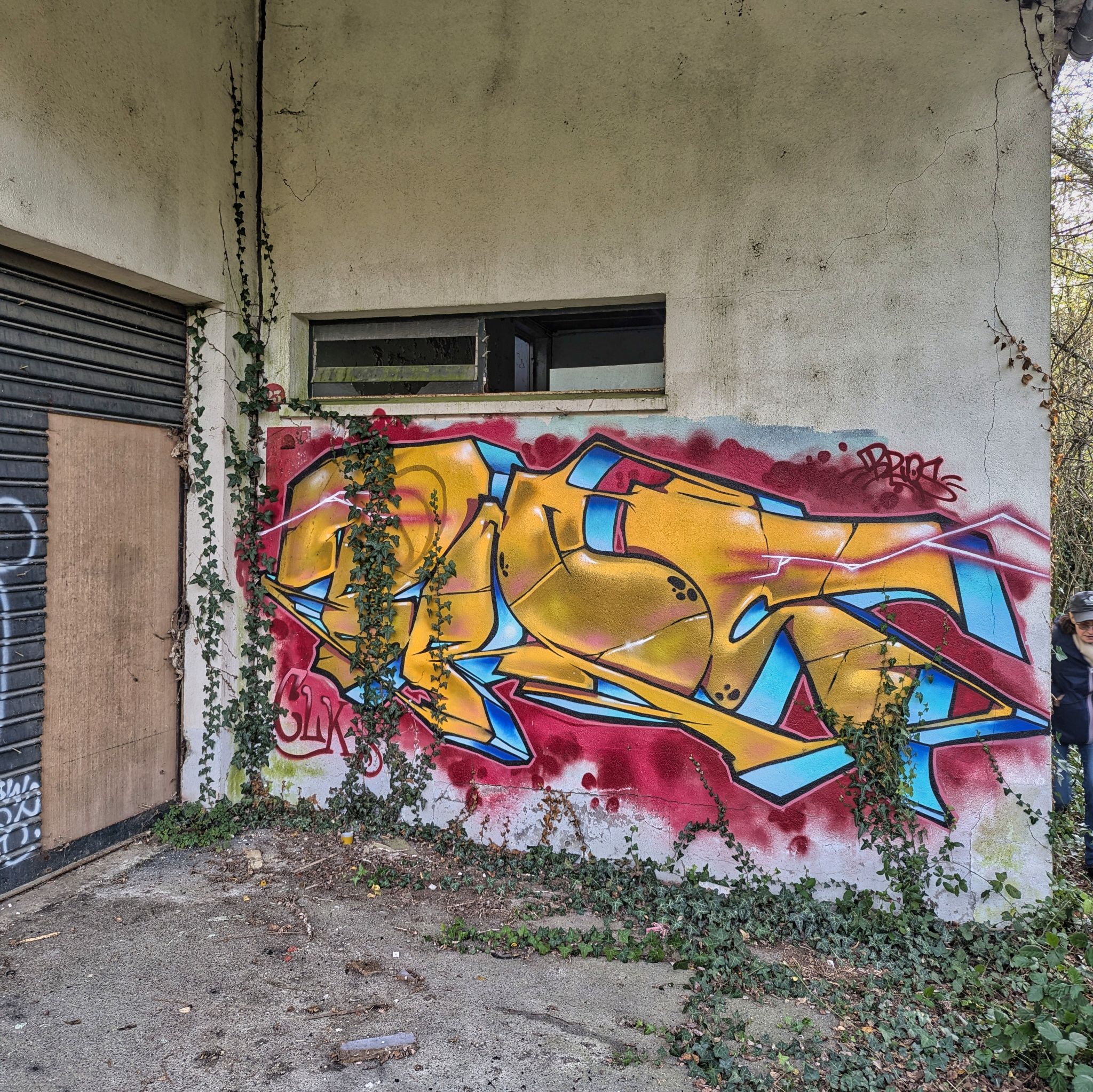 PXL 20241124 091441756.MP